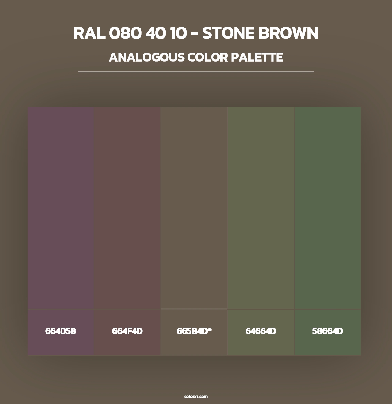 RAL 080 40 10 - Stone Brown - Analogous Color Palette