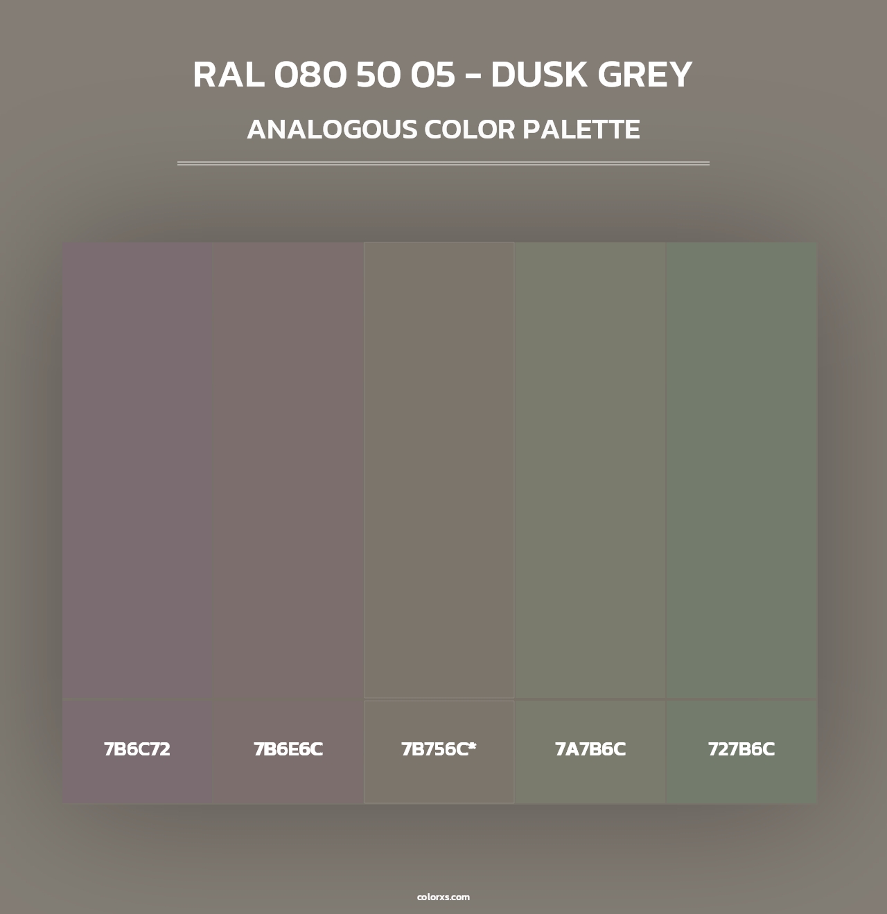 RAL 080 50 05 - Dusk Grey - Analogous Color Palette