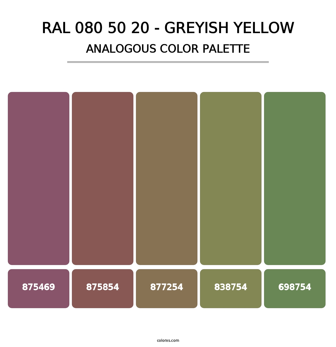 RAL 080 50 20 - Greyish Yellow - Analogous Color Palette