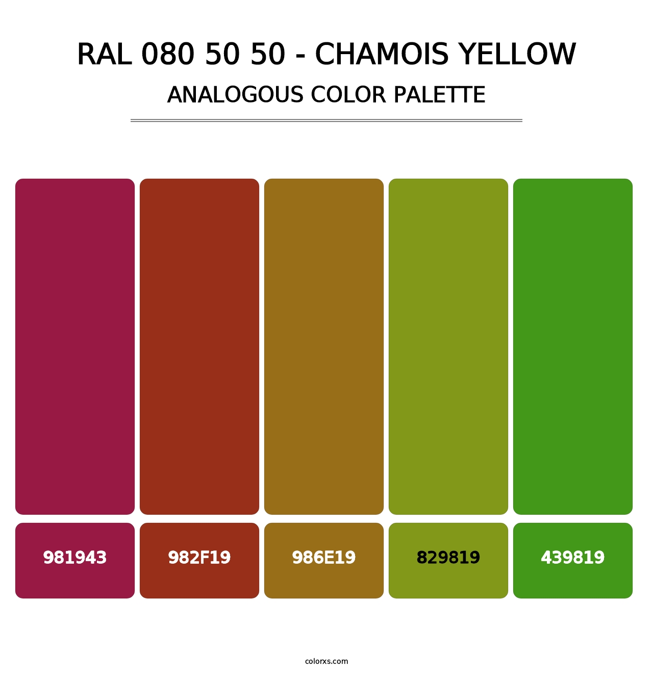 RAL 080 50 50 - Chamois Yellow - Analogous Color Palette