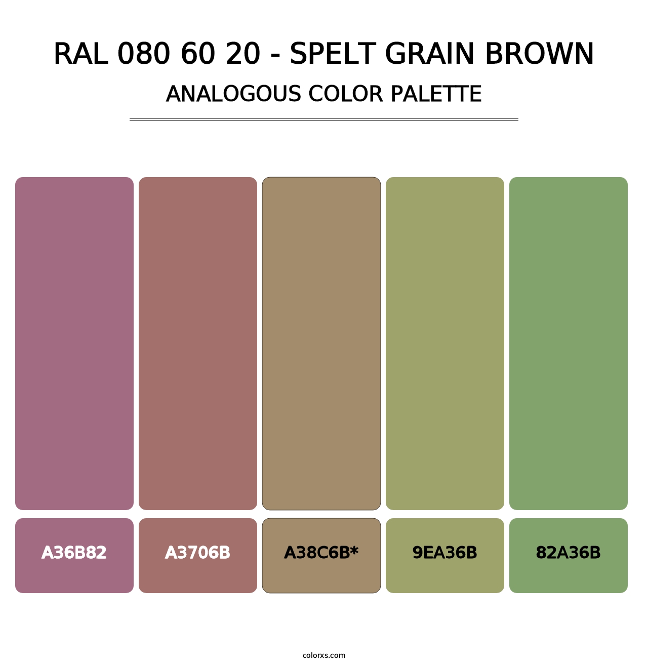 RAL 080 60 20 - Spelt Grain Brown - Analogous Color Palette