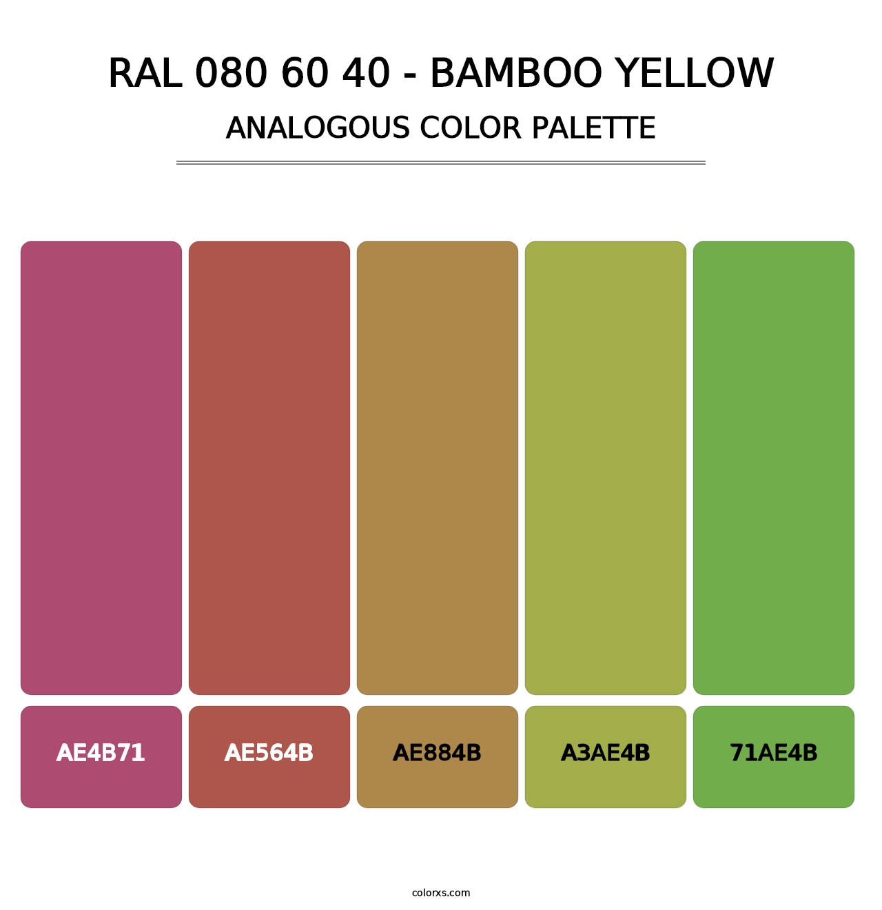 RAL 080 60 40 - Bamboo Yellow - Analogous Color Palette