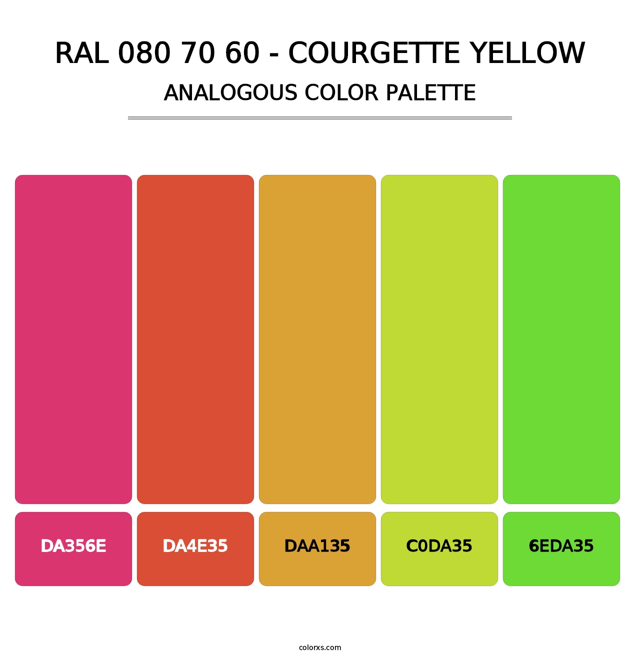 RAL 080 70 60 - Courgette Yellow - Analogous Color Palette