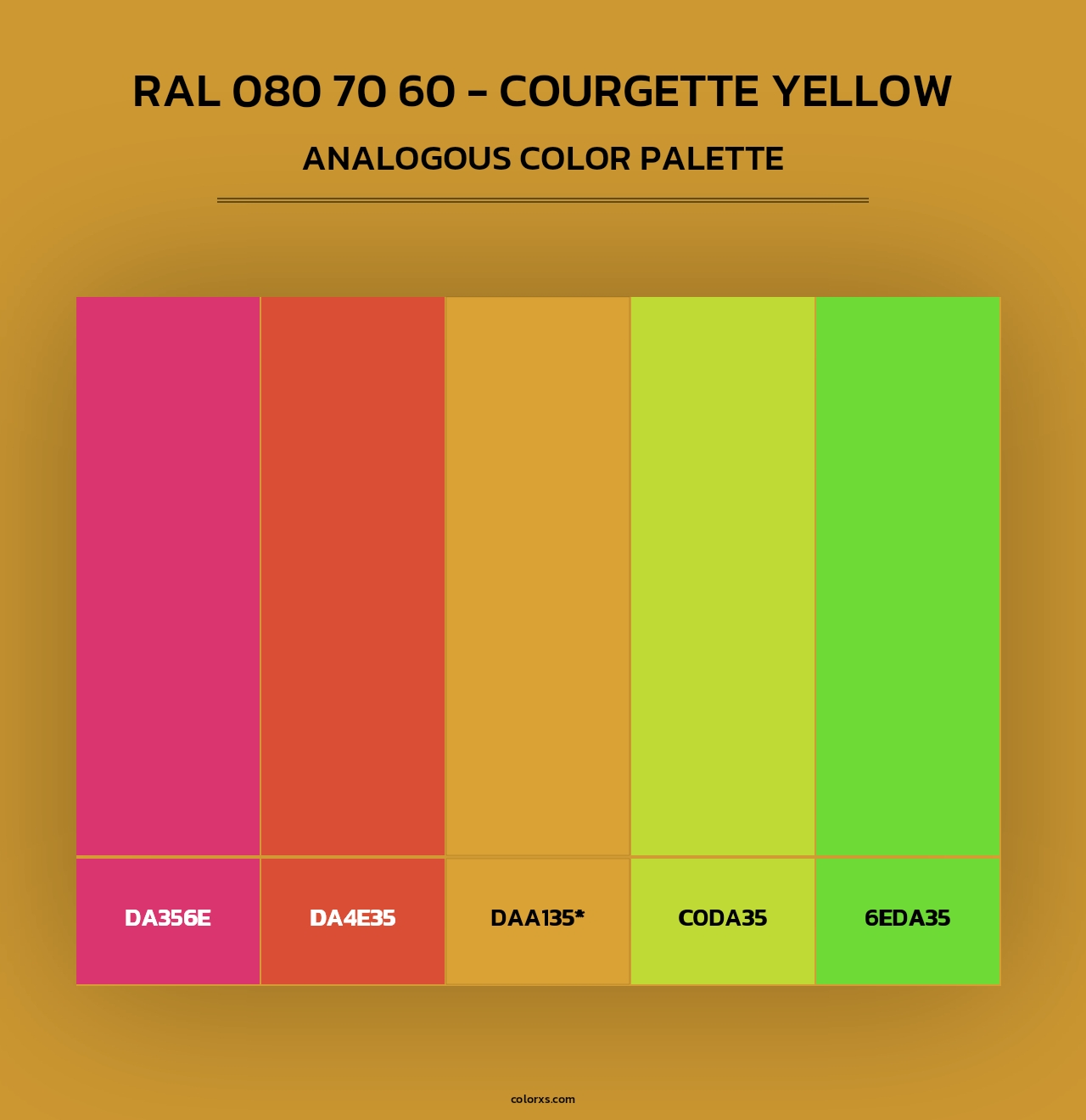 RAL 080 70 60 - Courgette Yellow - Analogous Color Palette