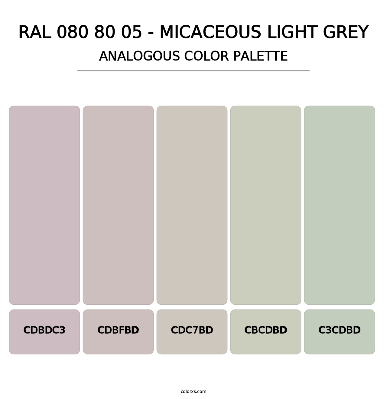 RAL 080 80 05 - Micaceous Light Grey - Analogous Color Palette