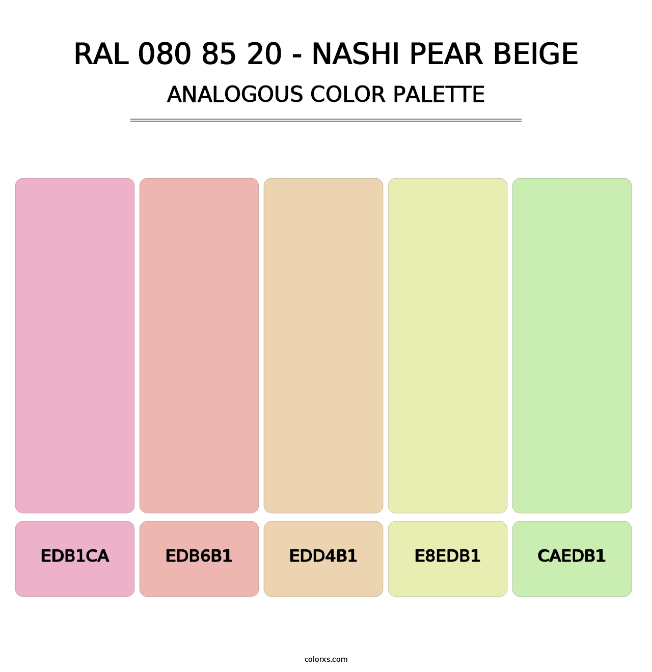RAL 080 85 20 - Nashi Pear Beige - Analogous Color Palette