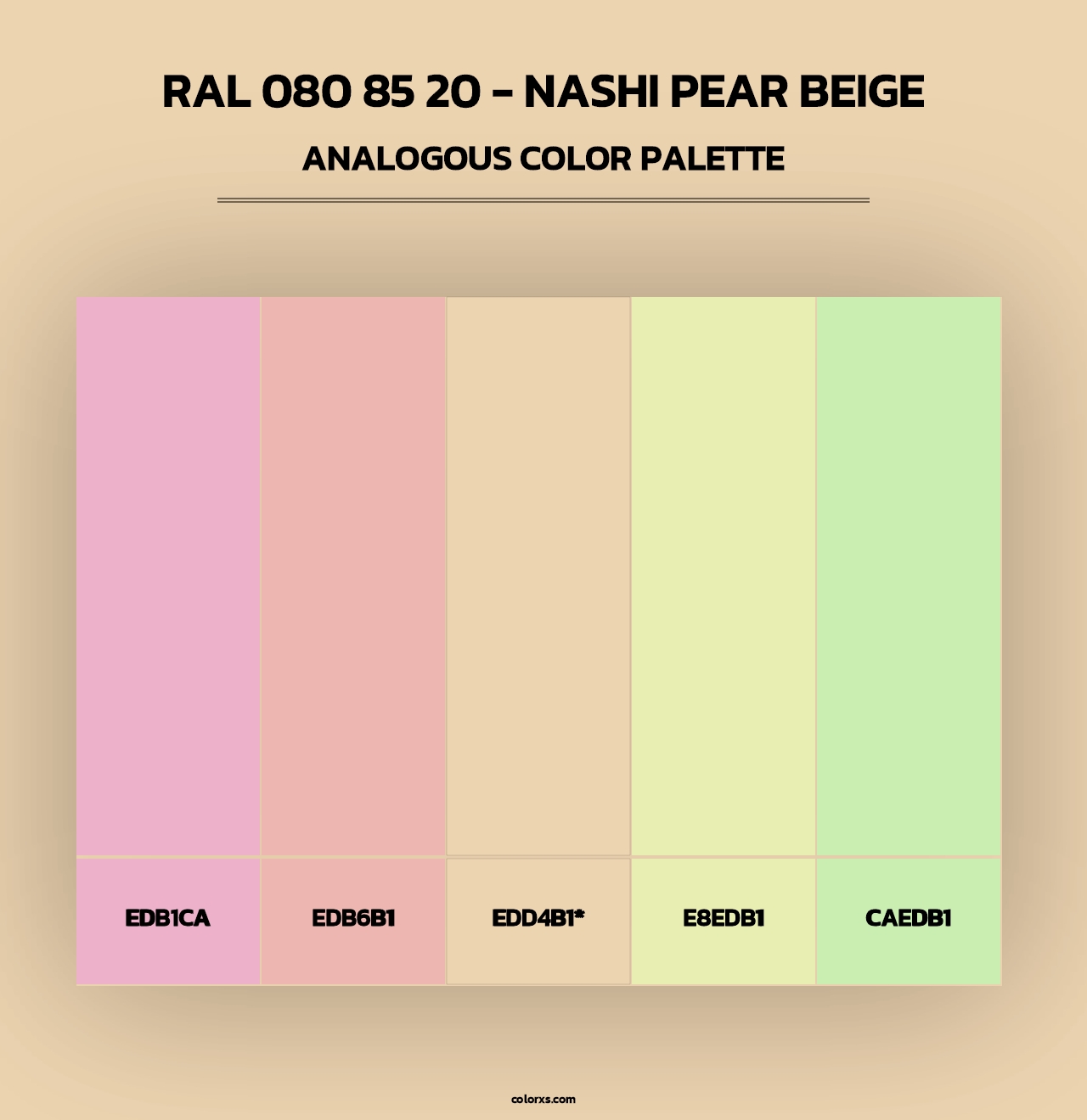 RAL 080 85 20 - Nashi Pear Beige - Analogous Color Palette