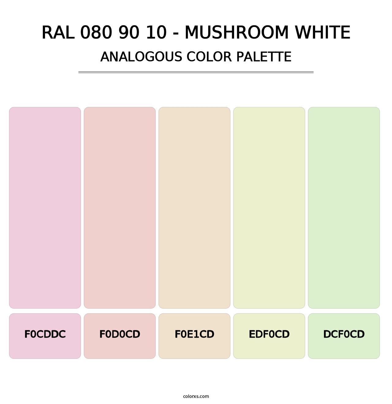 RAL 080 90 10 - Mushroom White - Analogous Color Palette