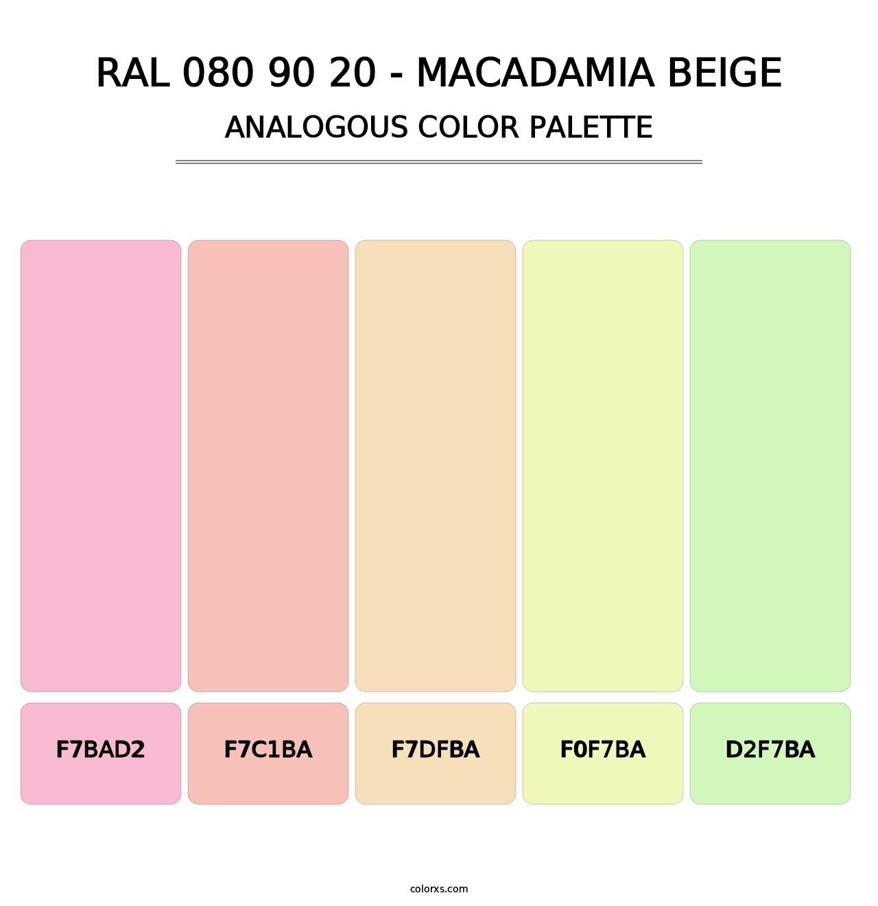 RAL 080 90 20 - Macadamia Beige - Analogous Color Palette