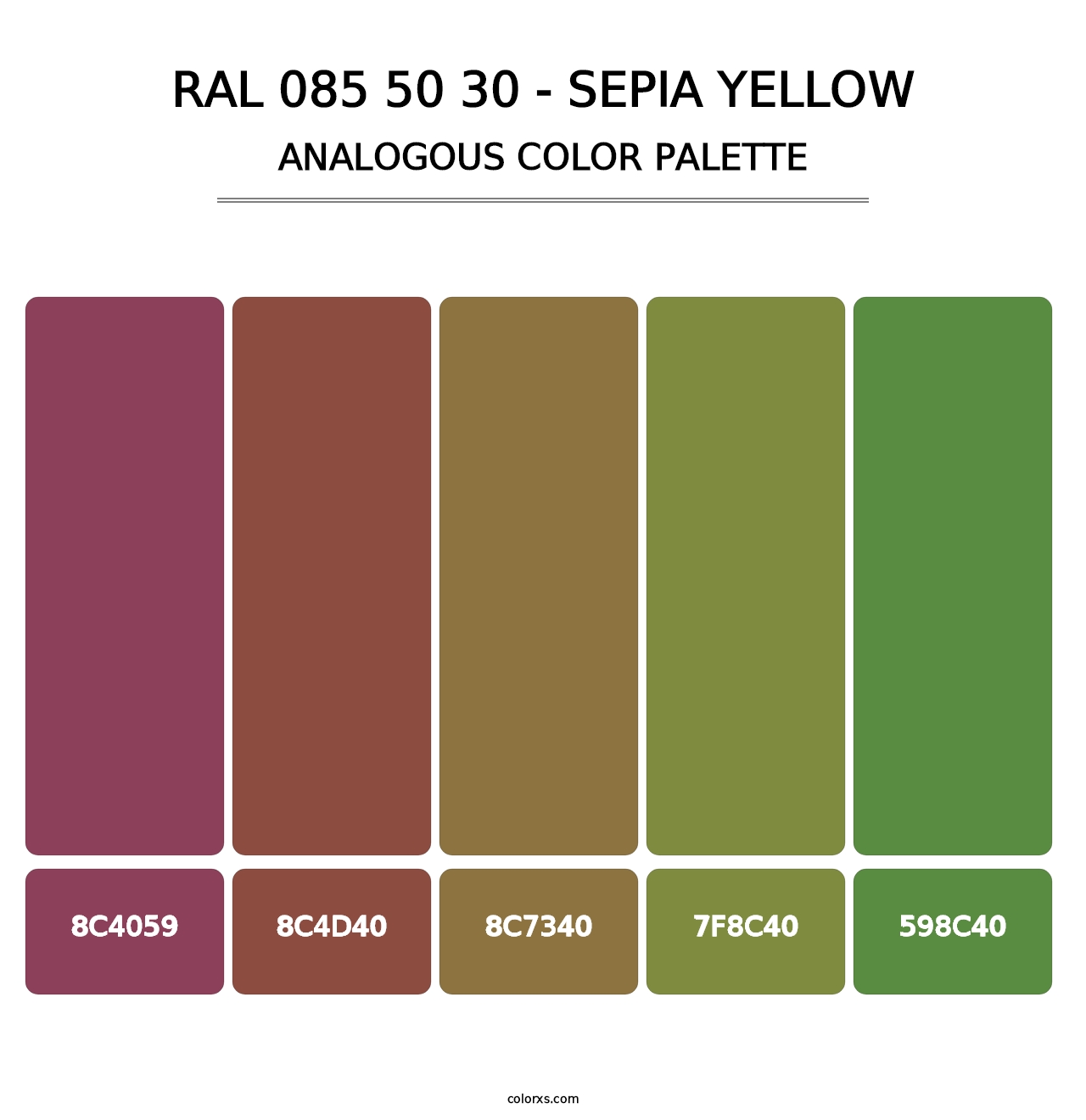 RAL 085 50 30 - Sepia Yellow - Analogous Color Palette