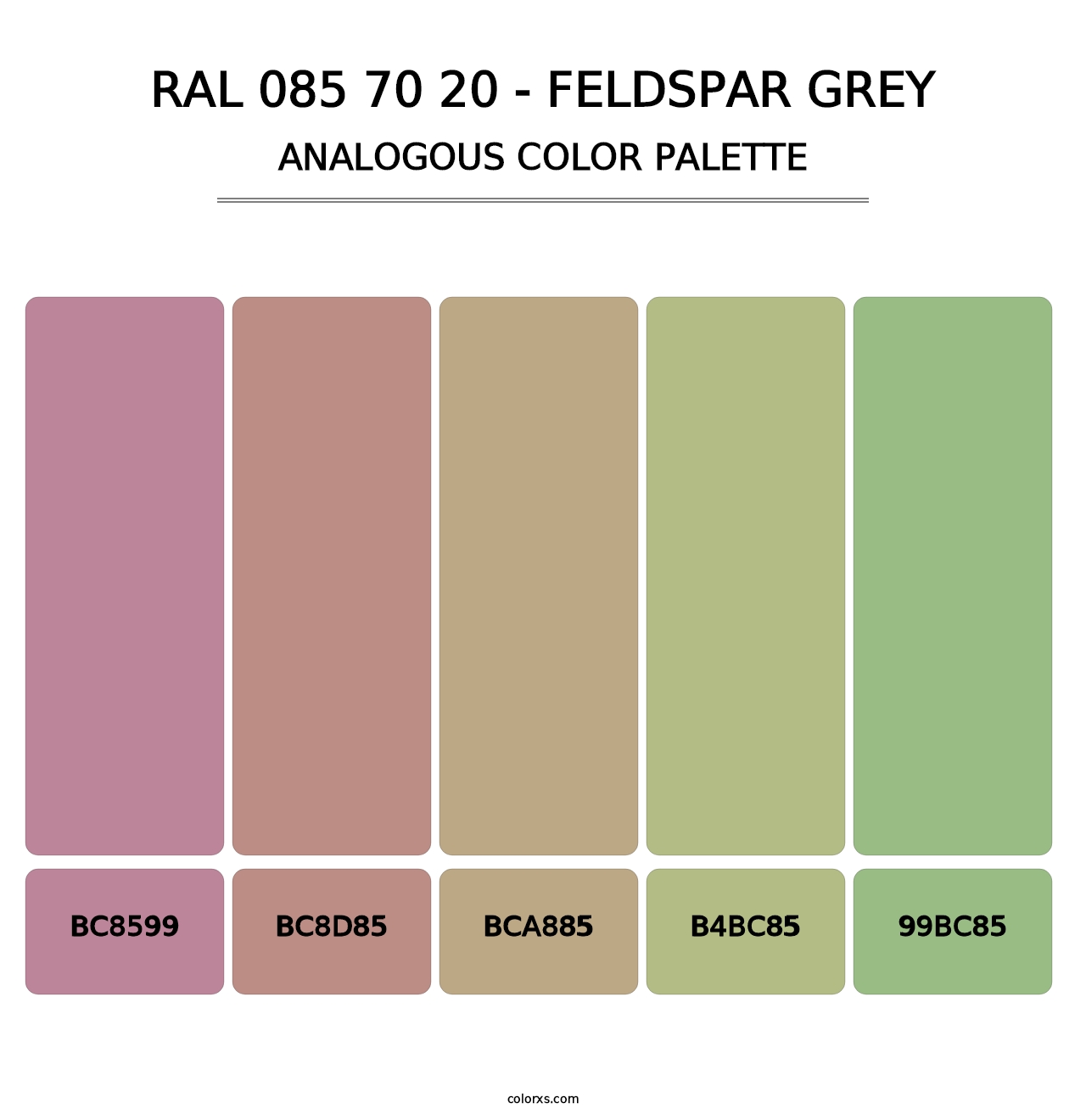 RAL 085 70 20 - Feldspar Grey - Analogous Color Palette