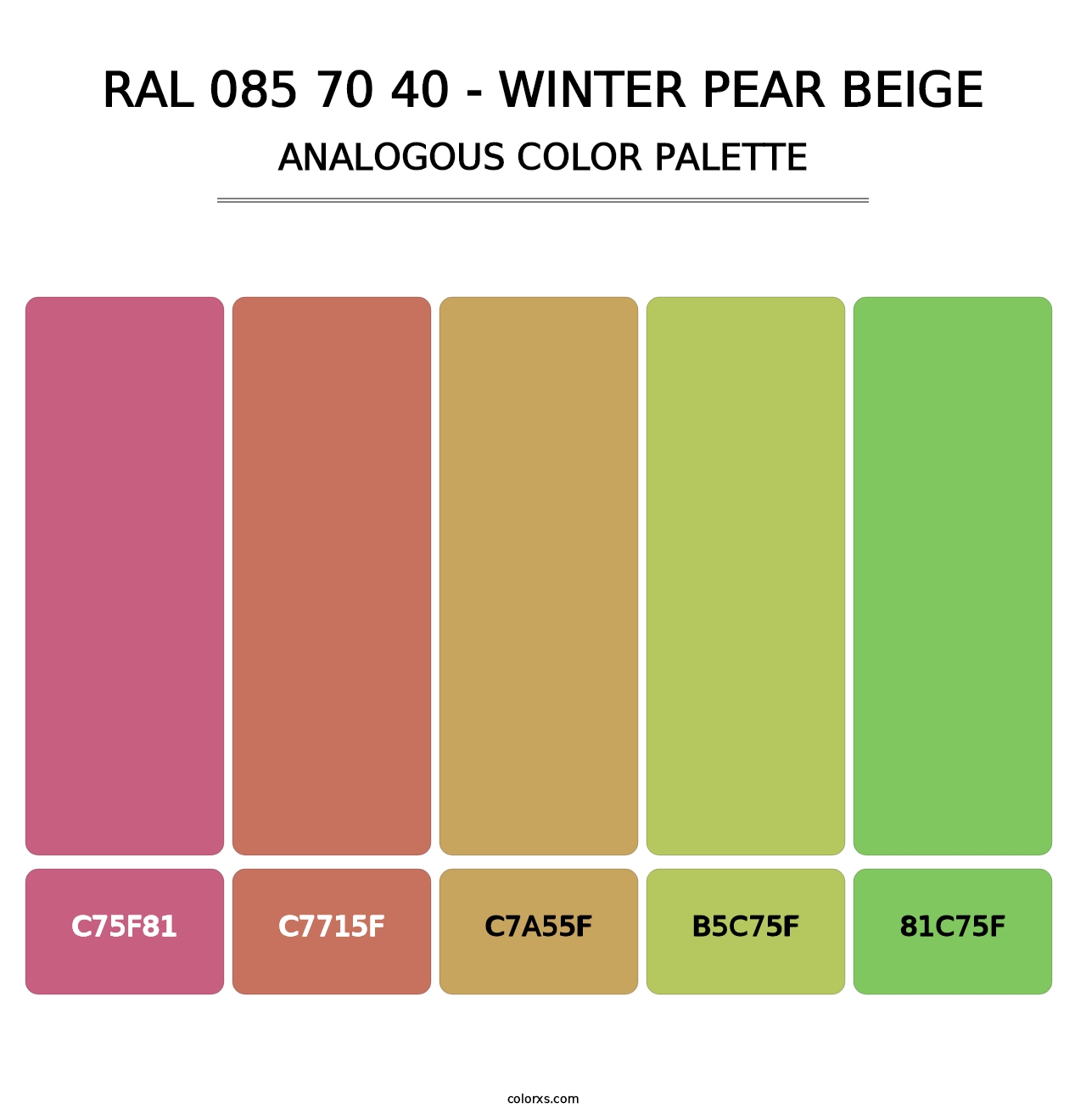 RAL 085 70 40 - Winter Pear Beige - Analogous Color Palette