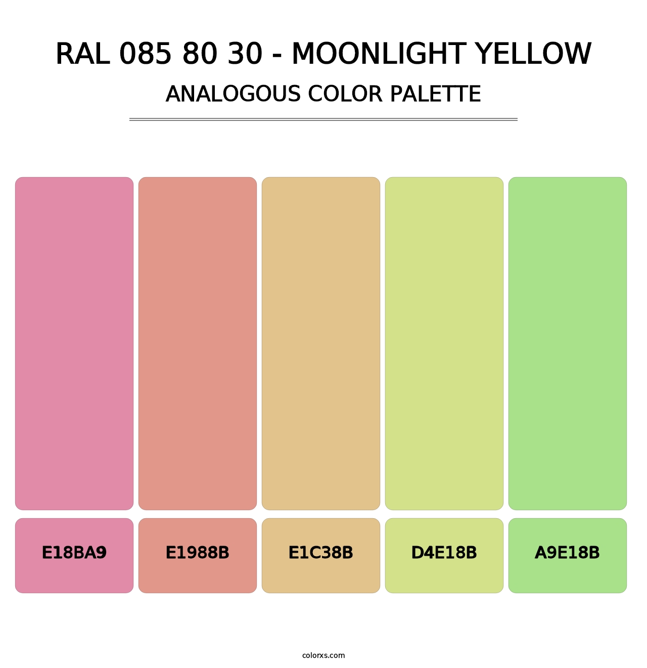 RAL 085 80 30 - Moonlight Yellow - Analogous Color Palette