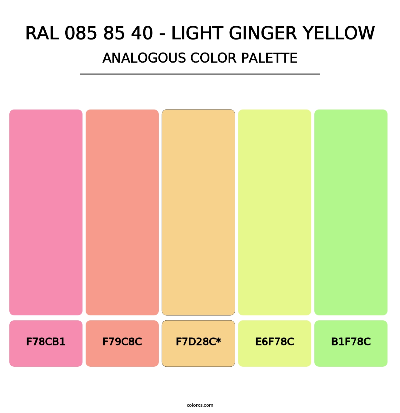 RAL 085 85 40 - Light Ginger Yellow - Analogous Color Palette
