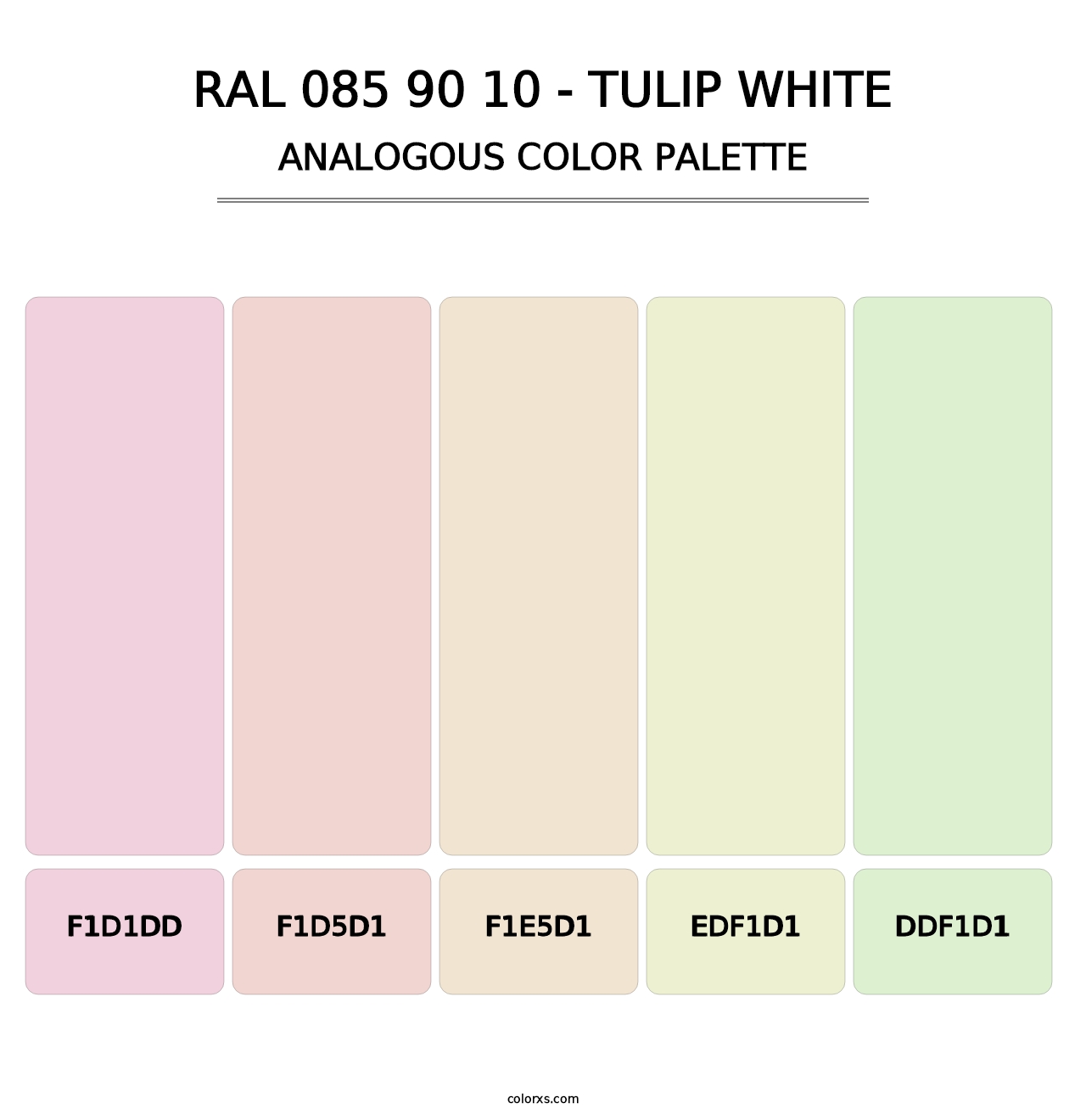 RAL 085 90 10 - Tulip White - Analogous Color Palette