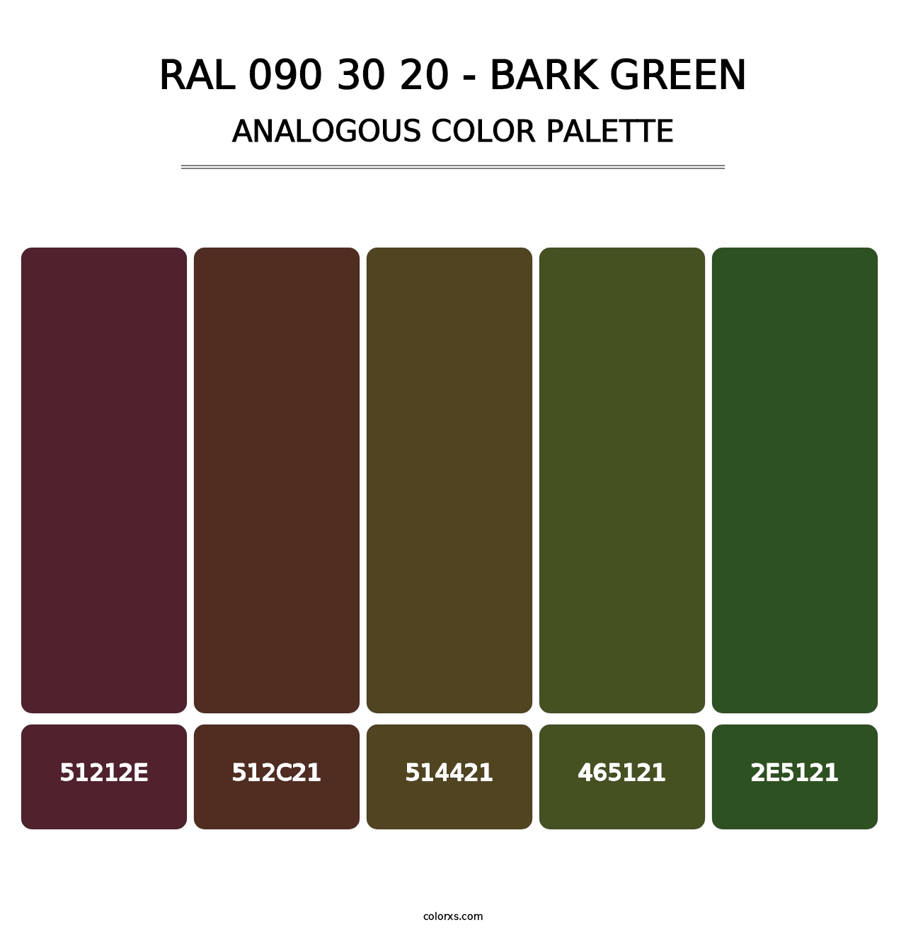 RAL 090 30 20 - Bark Green - Analogous Color Palette