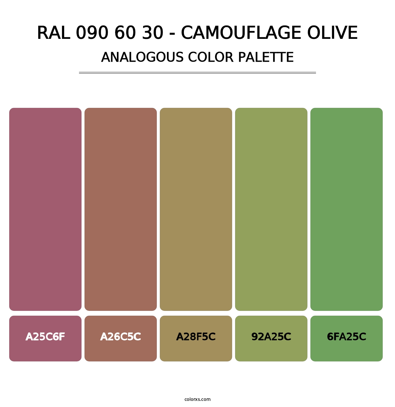 RAL 090 60 30 - Camouflage Olive - Analogous Color Palette