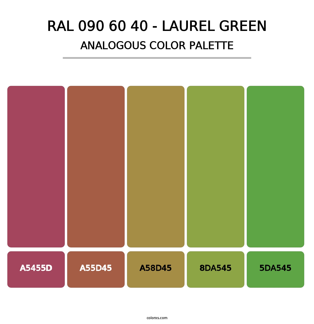 RAL 090 60 40 - Laurel Green - Analogous Color Palette