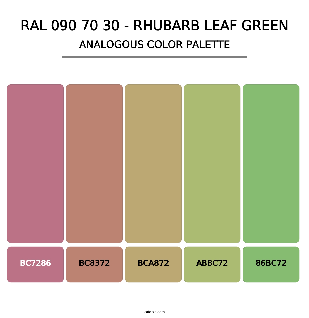 RAL 090 70 30 - Rhubarb Leaf Green - Analogous Color Palette