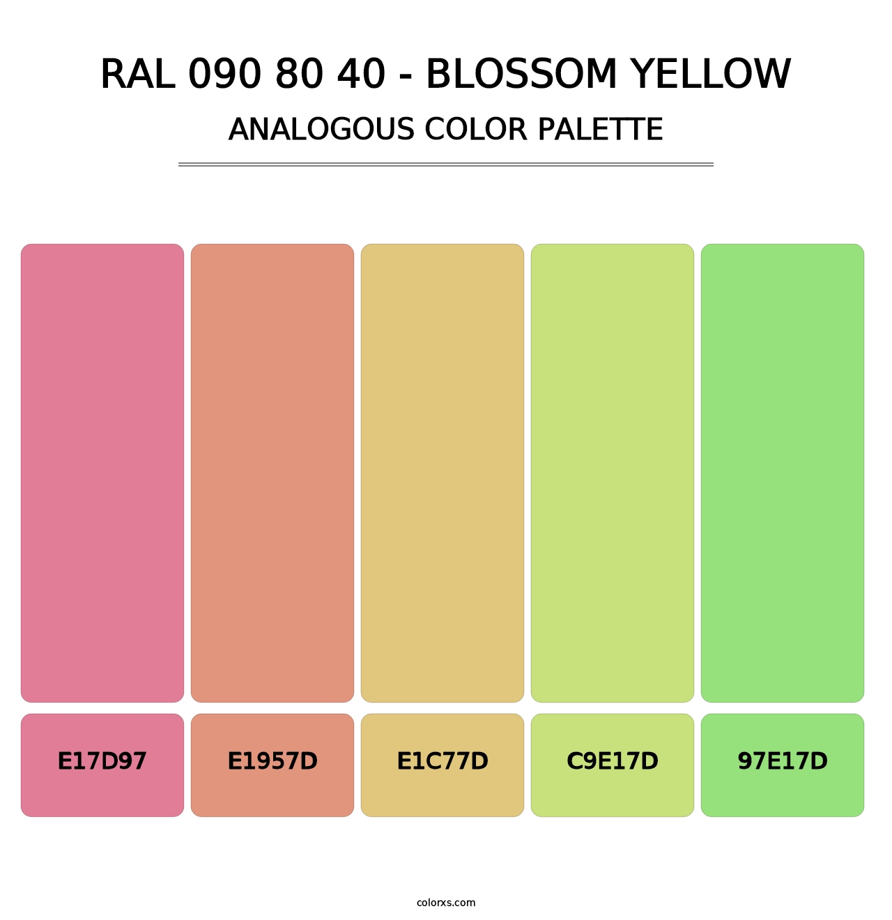 RAL 090 80 40 - Blossom Yellow - Analogous Color Palette