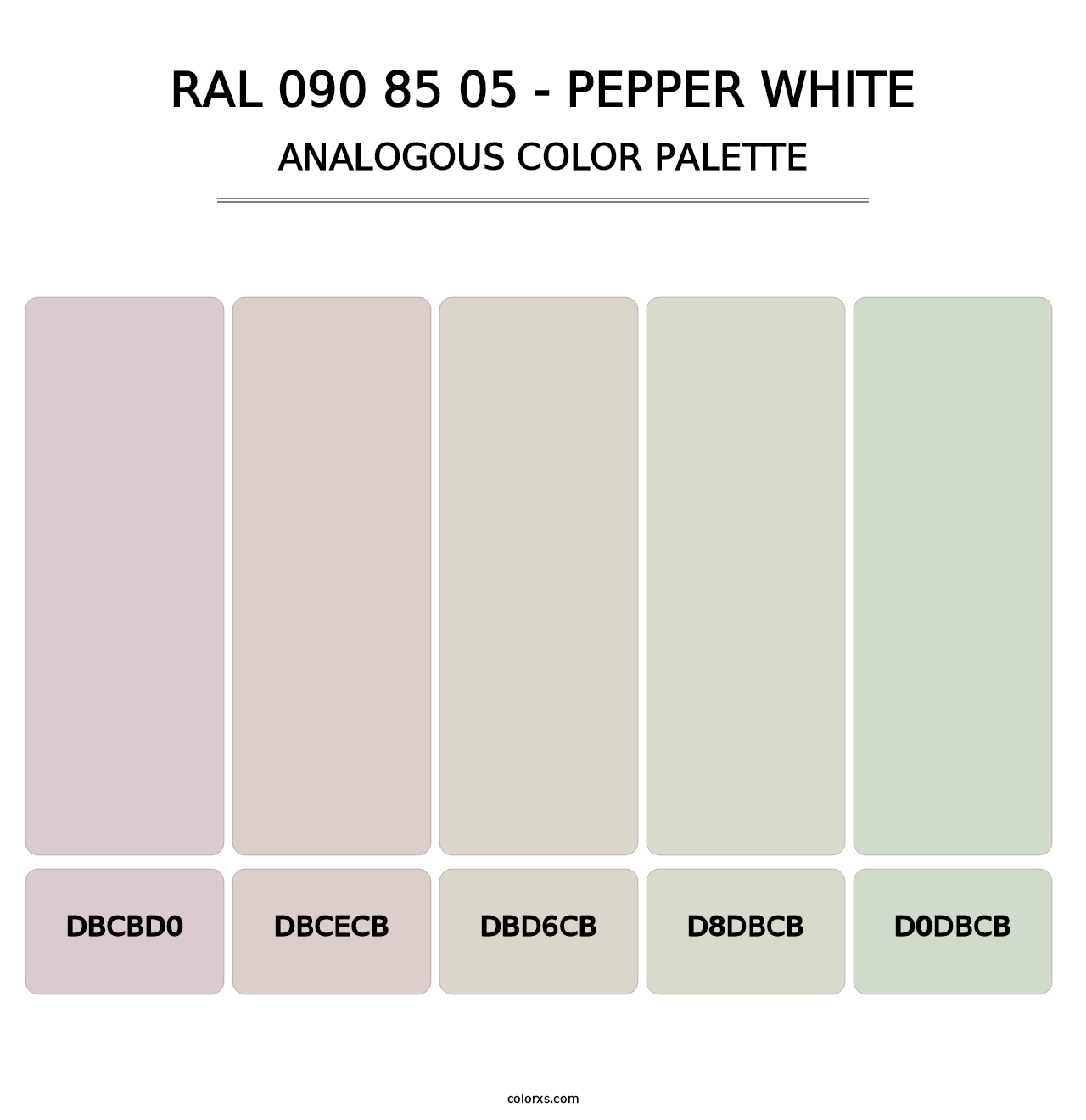 RAL 090 85 05 - Pepper White - Analogous Color Palette