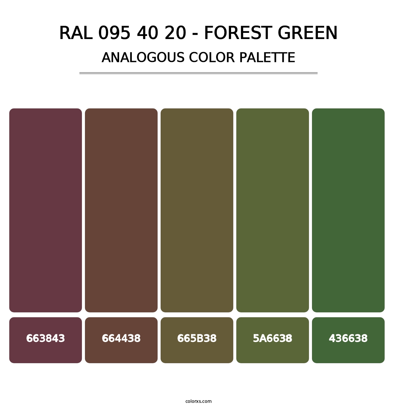 RAL 095 40 20 - Forest Green - Analogous Color Palette