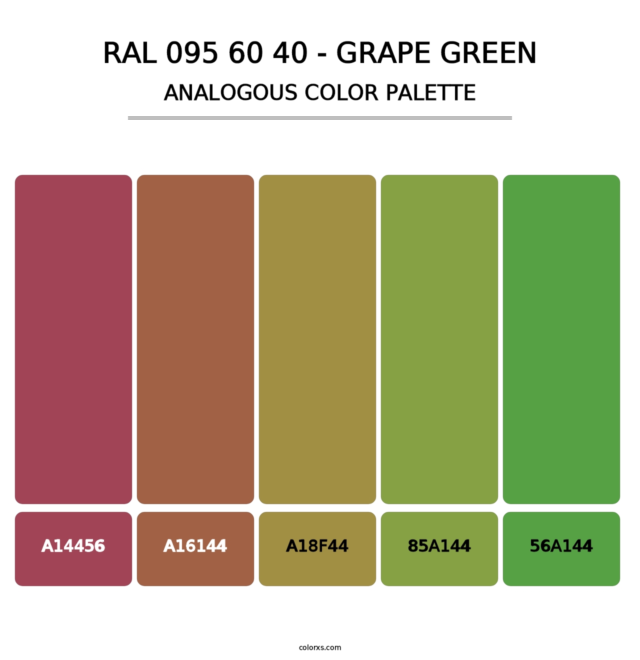 RAL 095 60 40 - Grape Green - Analogous Color Palette