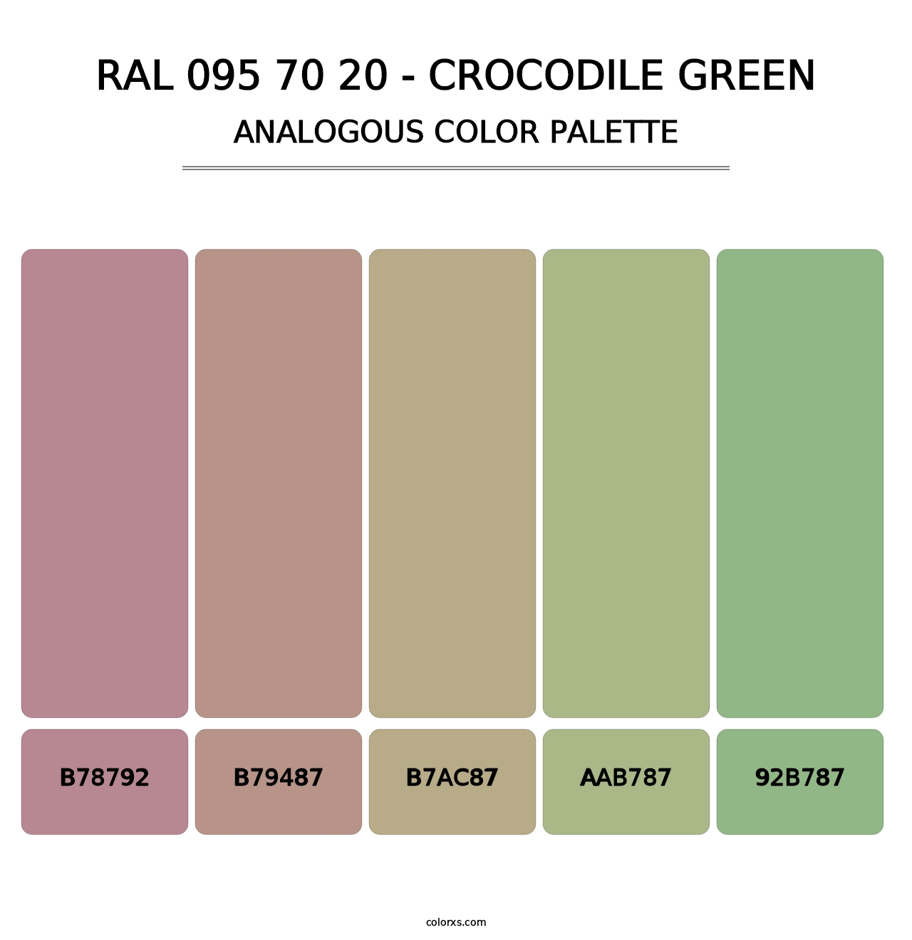 RAL 095 70 20 - Crocodile Green - Analogous Color Palette