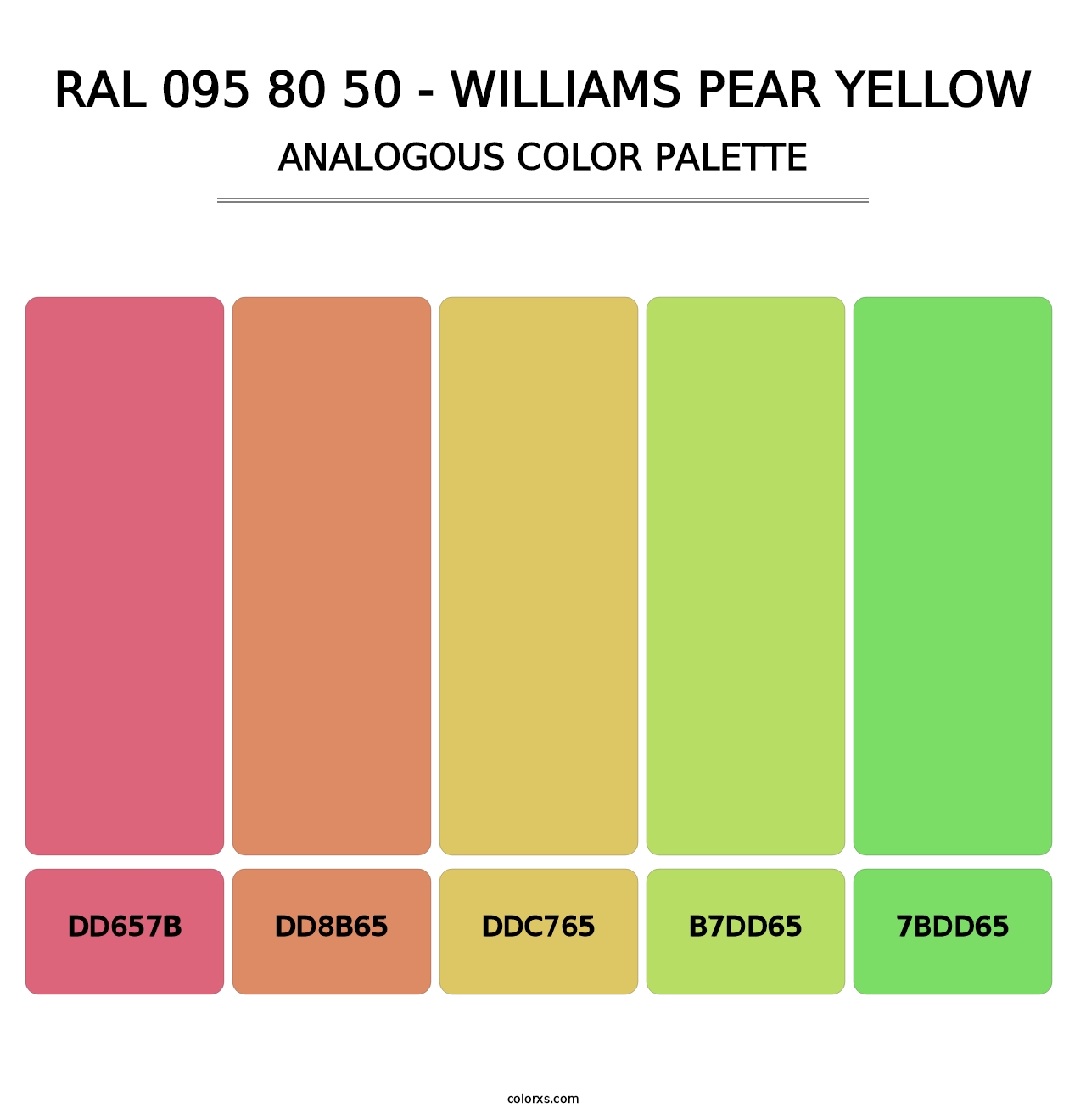 RAL 095 80 50 - Williams Pear Yellow - Analogous Color Palette