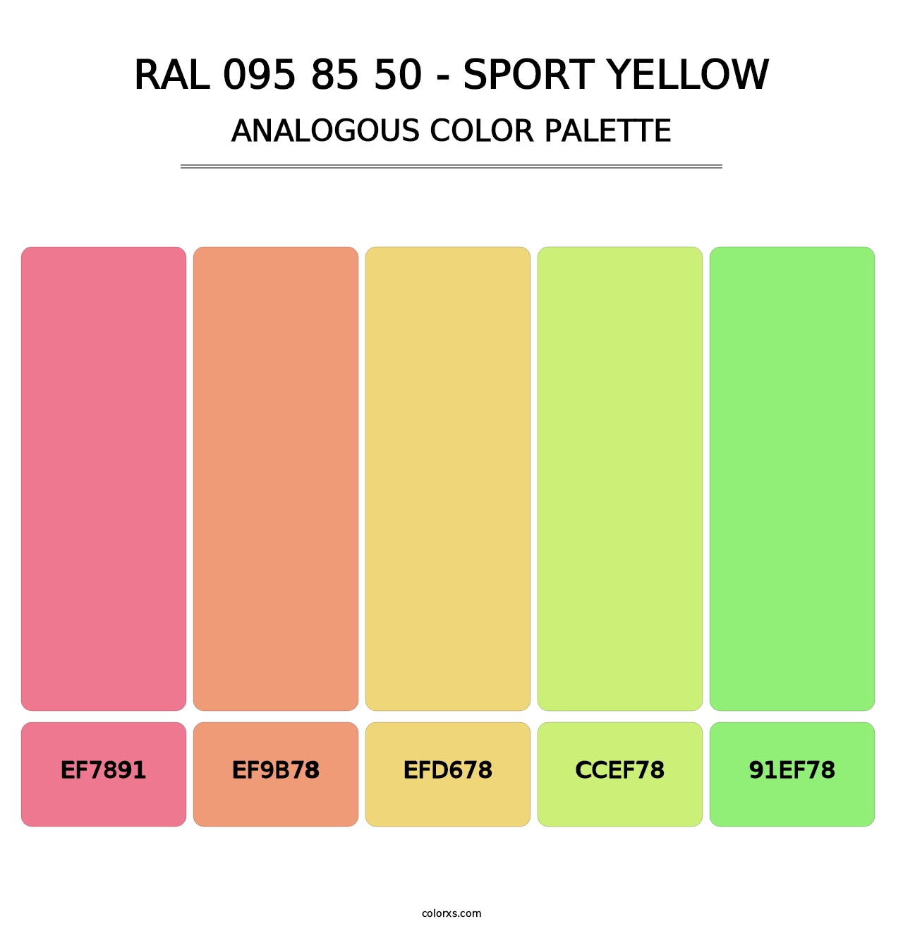 RAL 095 85 50 - Sport Yellow - Analogous Color Palette