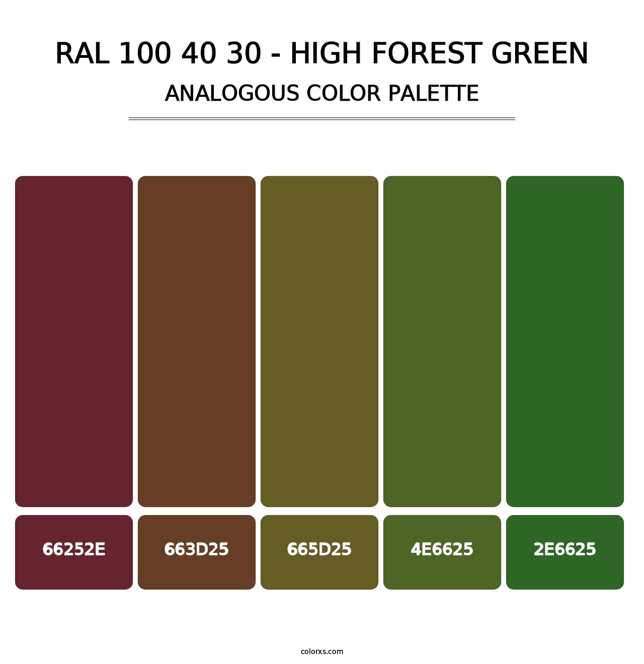 RAL 100 40 30 - High Forest Green - Analogous Color Palette