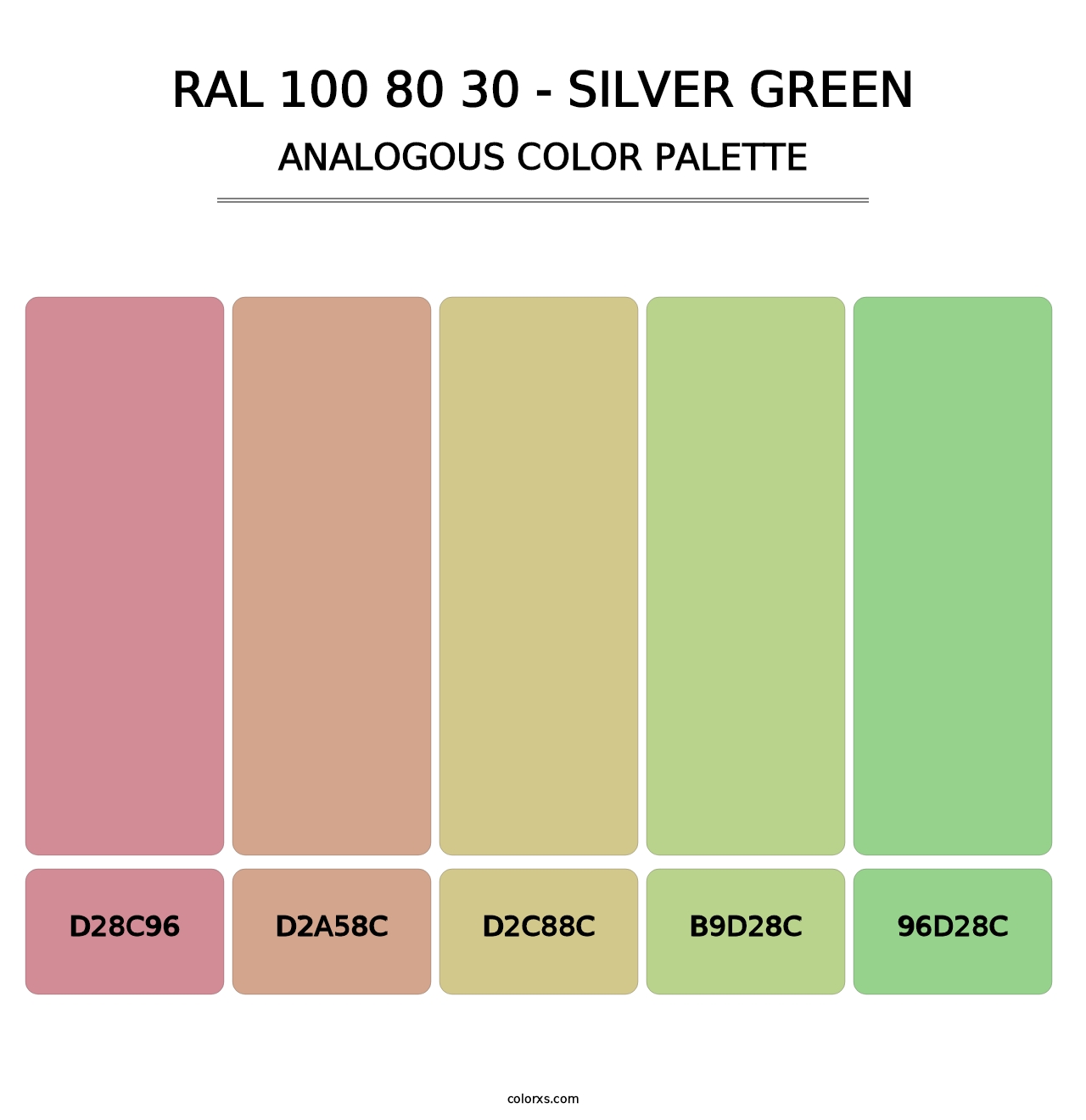 RAL 100 80 30 - Silver Green - Analogous Color Palette
