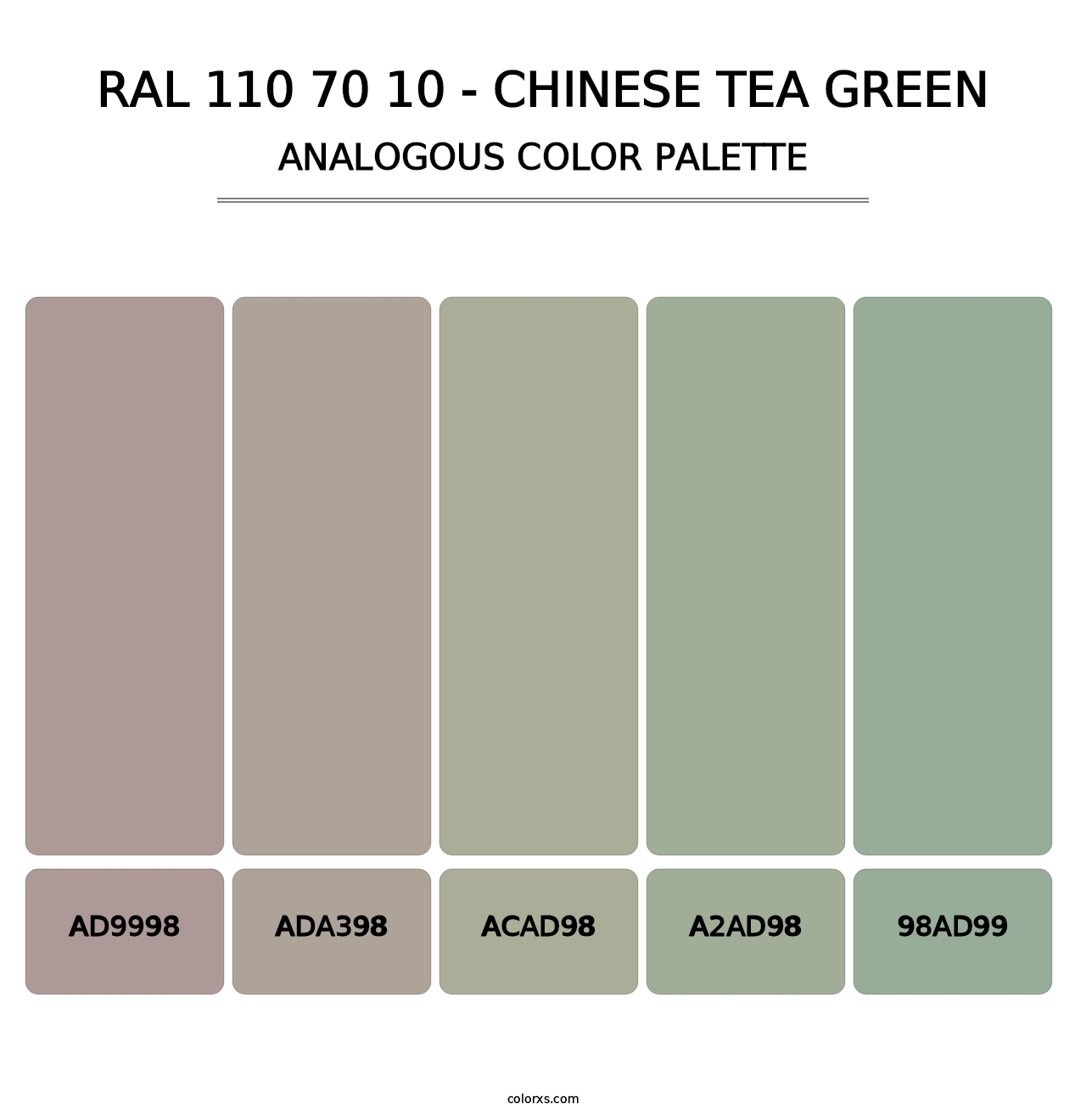 RAL 110 70 10 - Chinese Tea Green - Analogous Color Palette