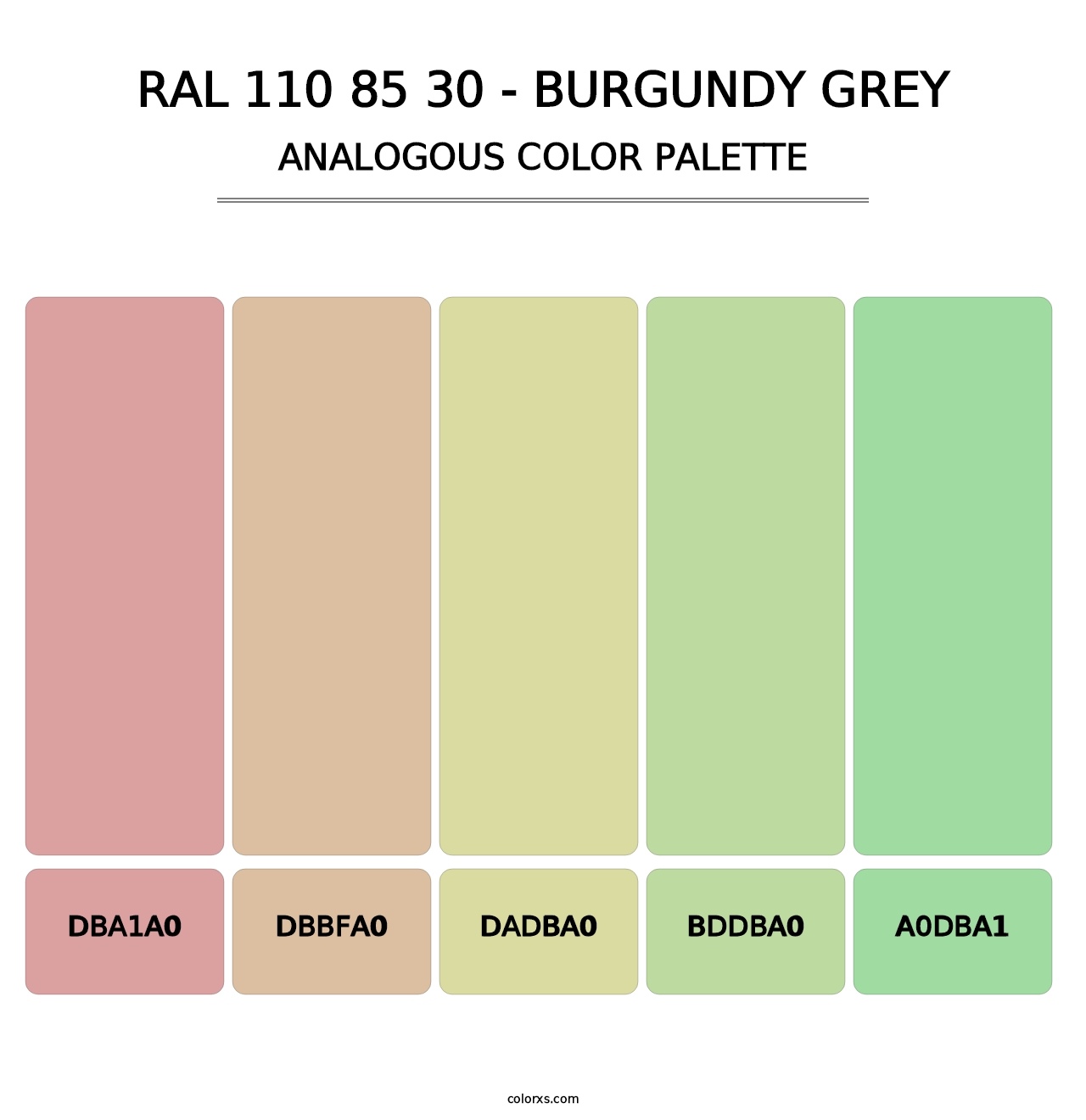 RAL 110 85 30 - Burgundy Grey - Analogous Color Palette