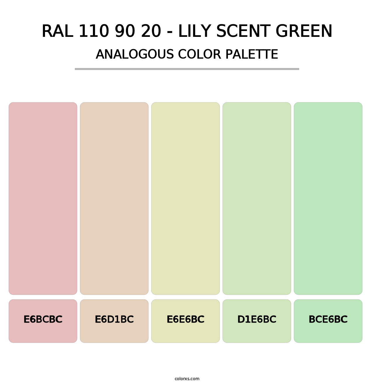 RAL 110 90 20 - Lily Scent Green - Analogous Color Palette