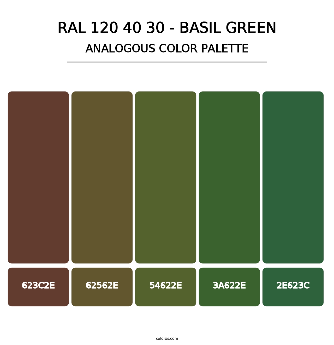 RAL 120 40 30 - Basil Green - Analogous Color Palette