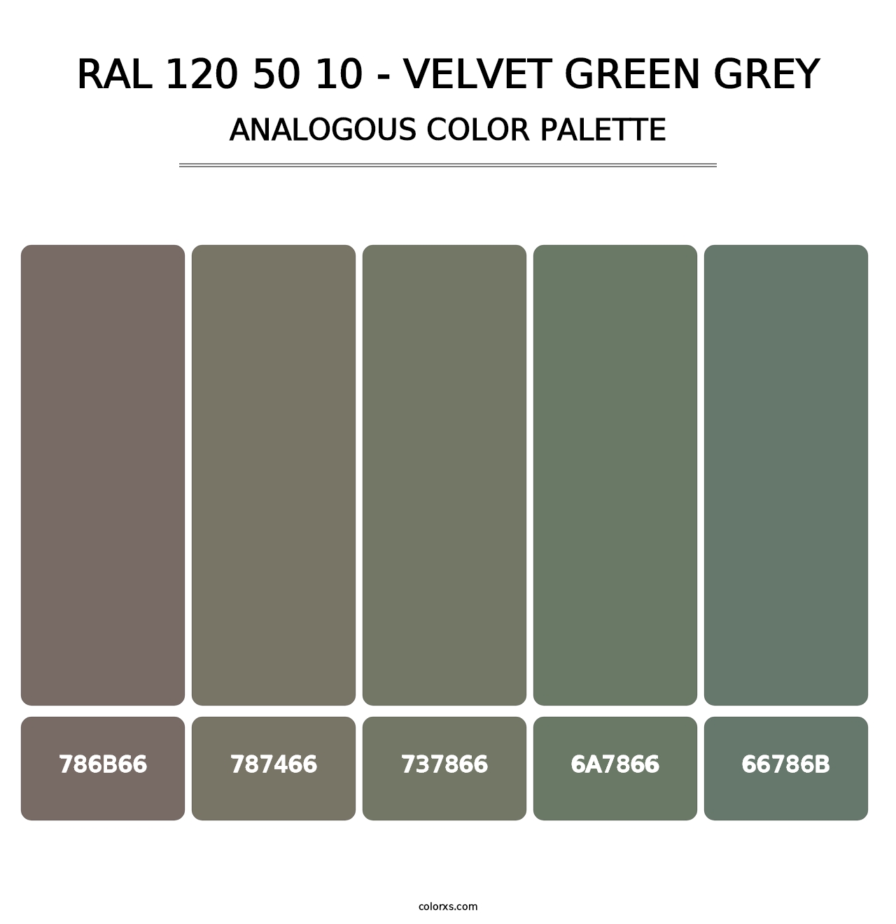 RAL 120 50 10 - Velvet Green Grey - Analogous Color Palette