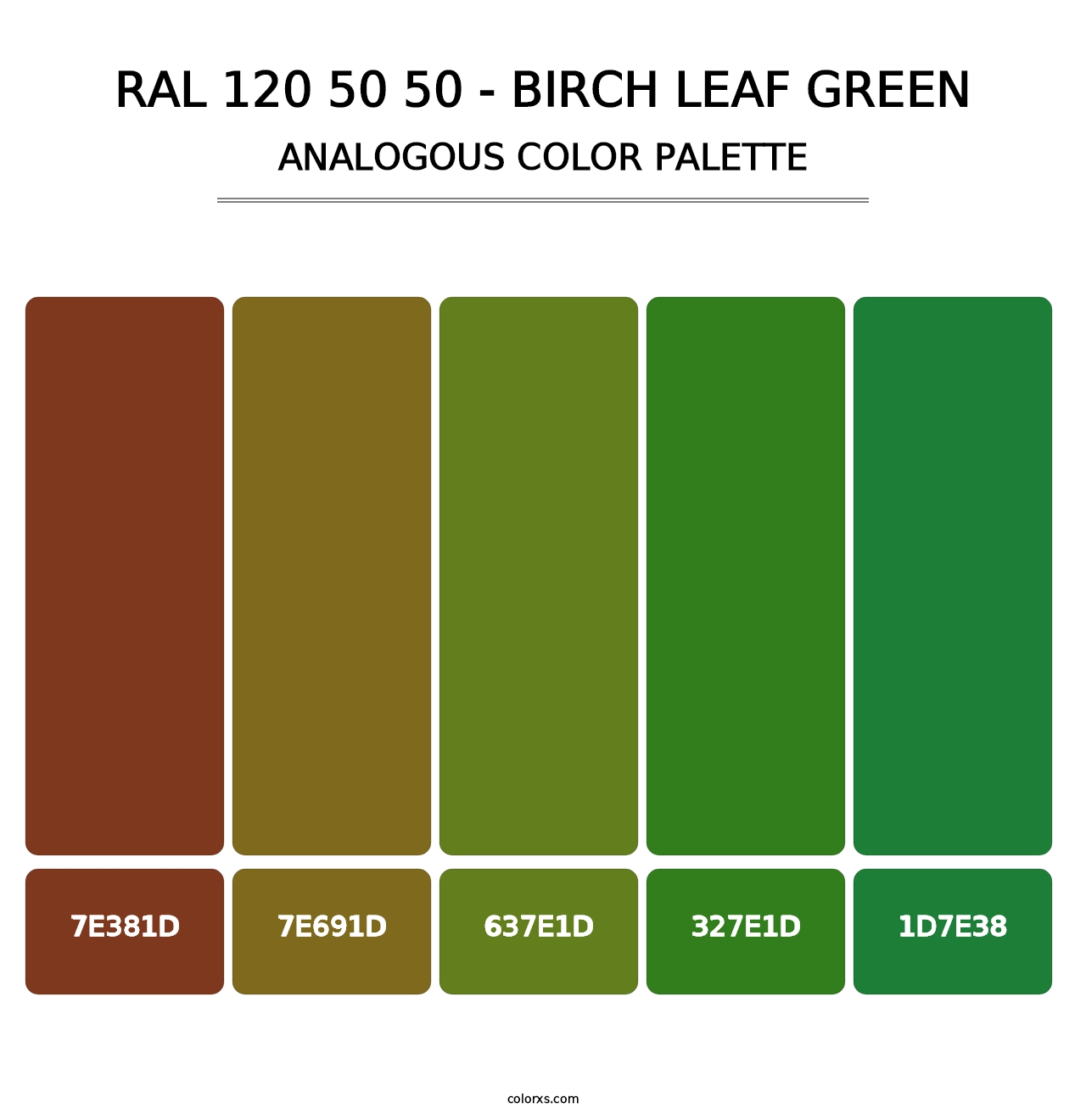 RAL 120 50 50 - Birch Leaf Green - Analogous Color Palette