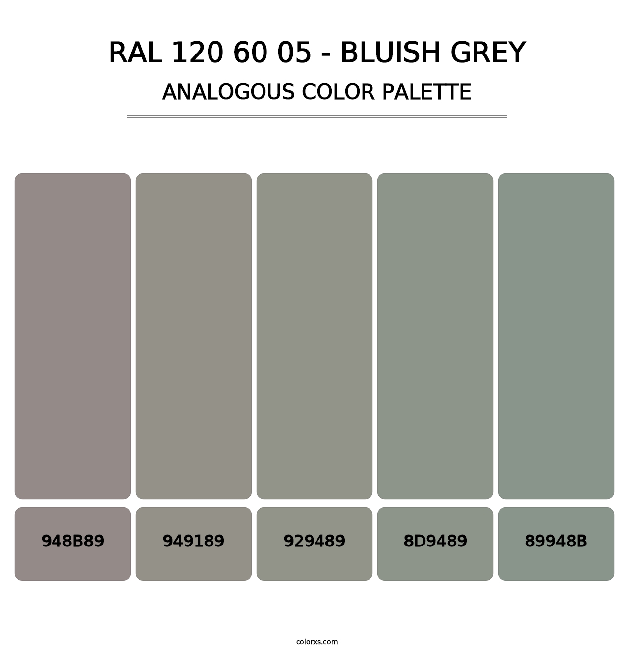 RAL 120 60 05 - Bluish Grey - Analogous Color Palette