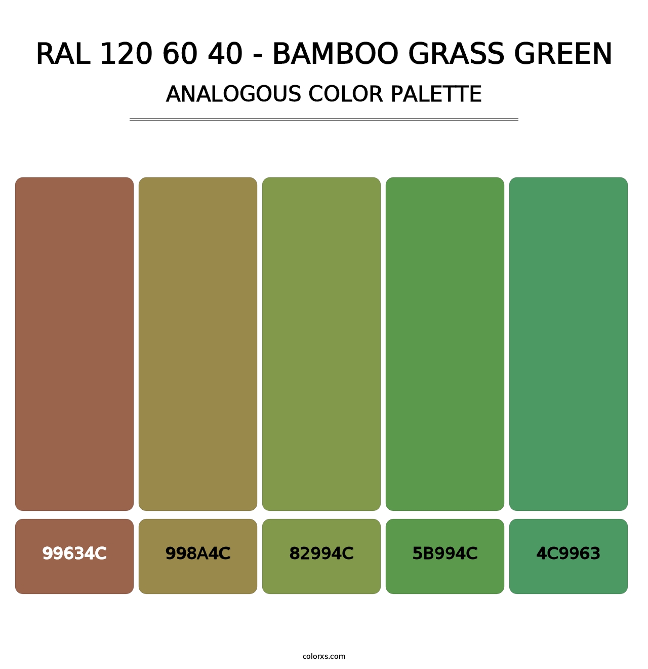 RAL 120 60 40 - Bamboo Grass Green - Analogous Color Palette