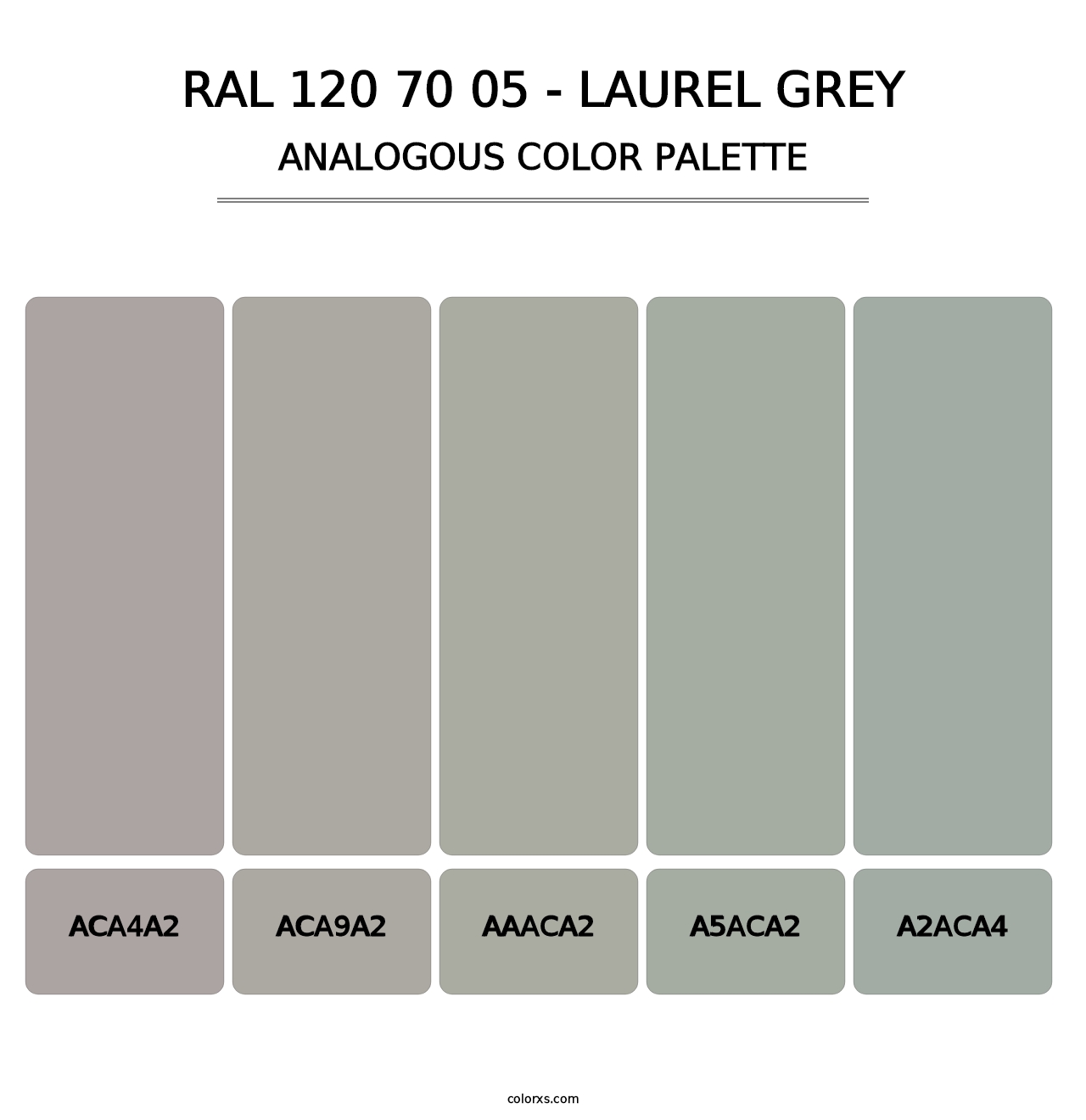 RAL 120 70 05 - Laurel Grey - Analogous Color Palette