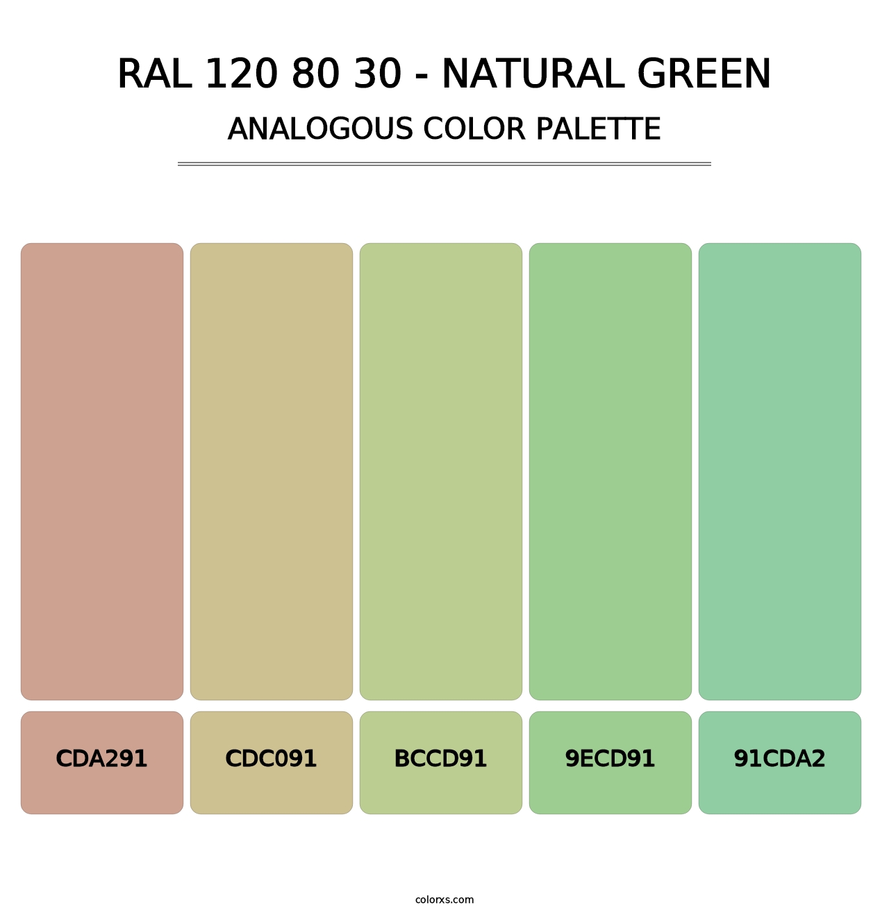 RAL 120 80 30 - Natural Green - Analogous Color Palette