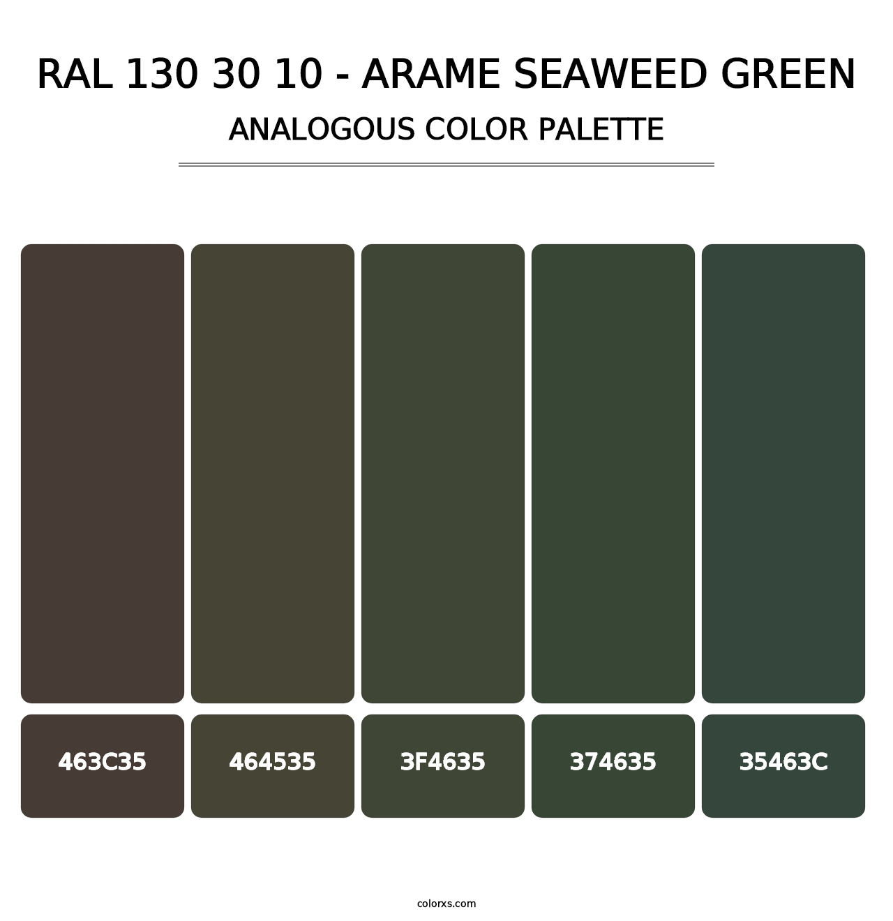 RAL 130 30 10 - Arame Seaweed Green - Analogous Color Palette