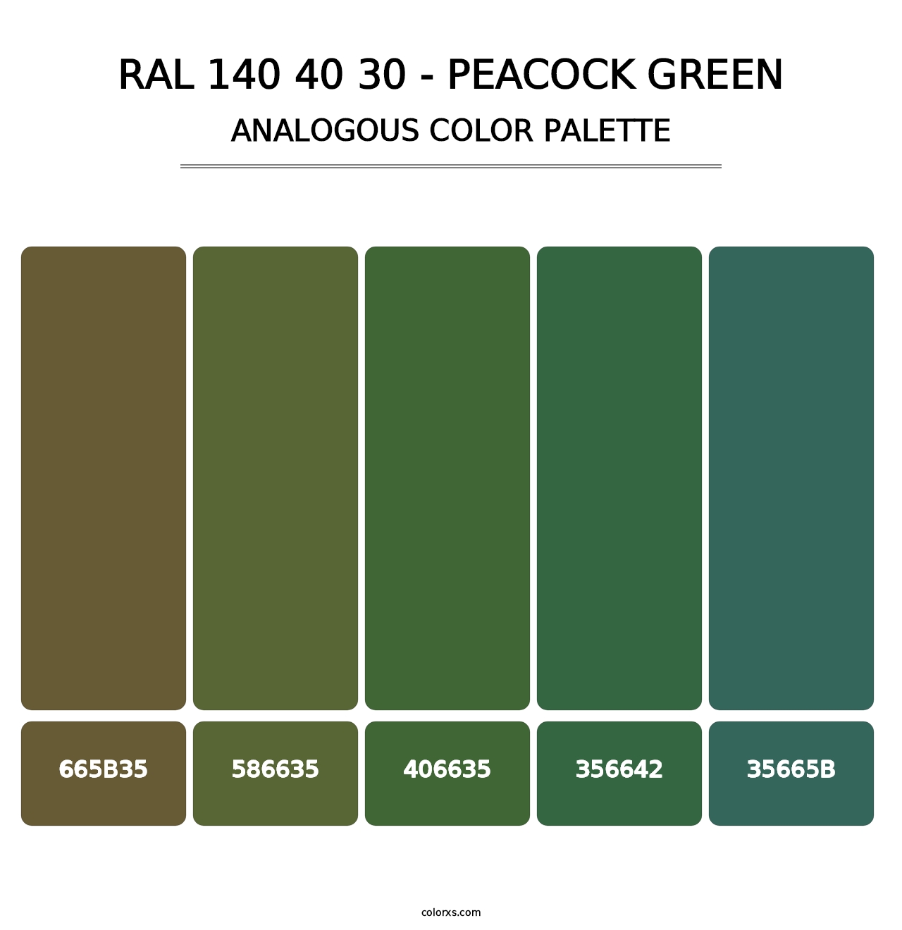 RAL 140 40 30 - Peacock Green - Analogous Color Palette