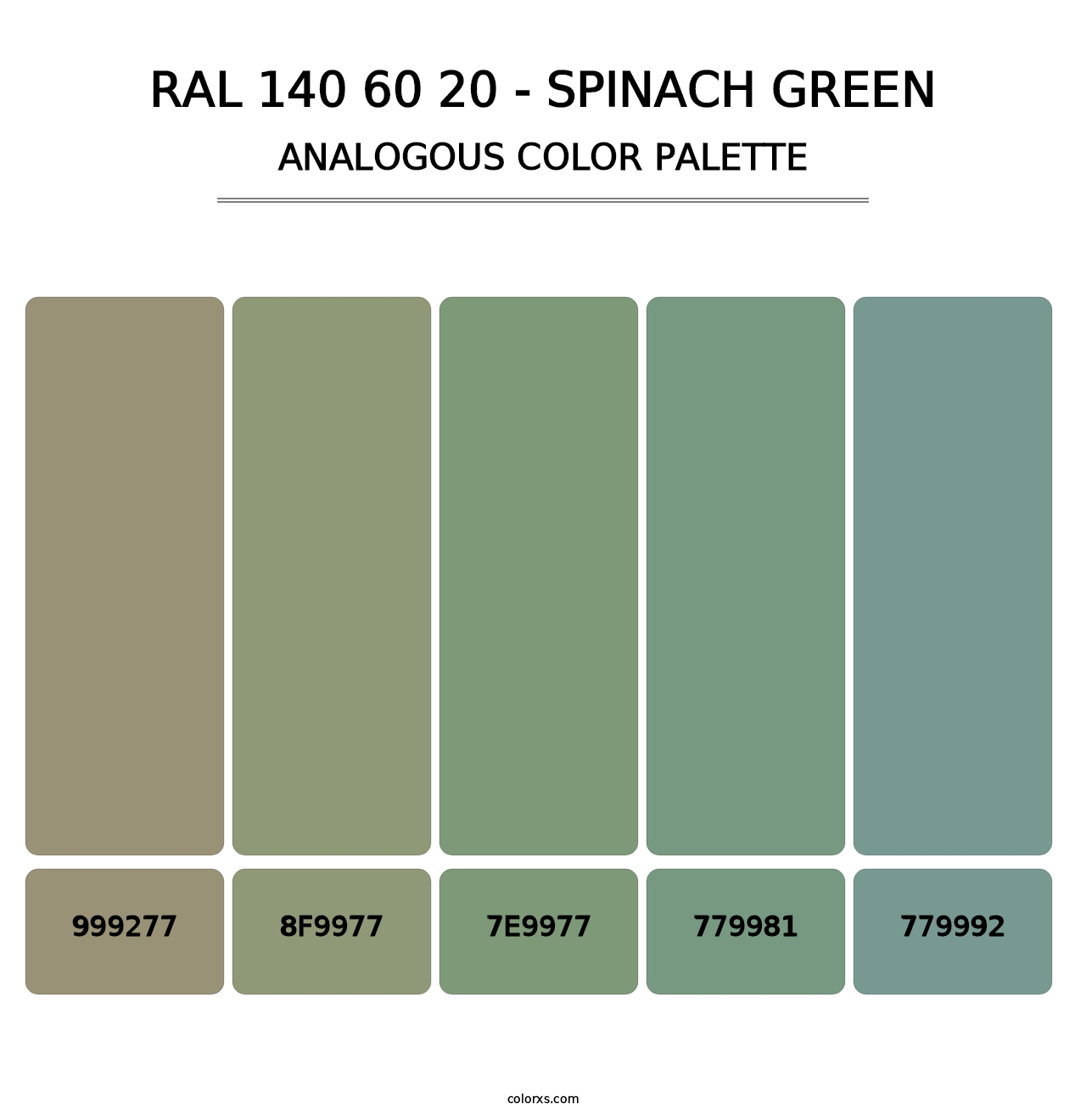 RAL 140 60 20 - Spinach Green - Analogous Color Palette