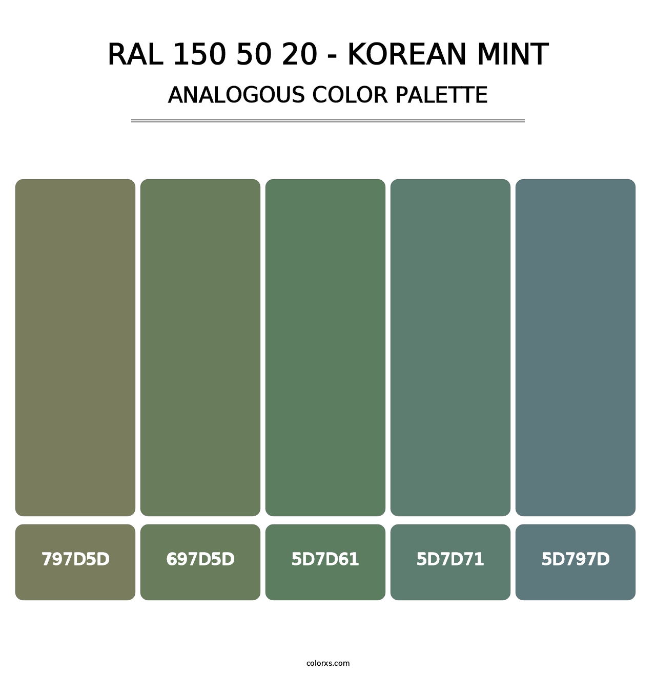 RAL 150 50 20 - Korean Mint - Analogous Color Palette