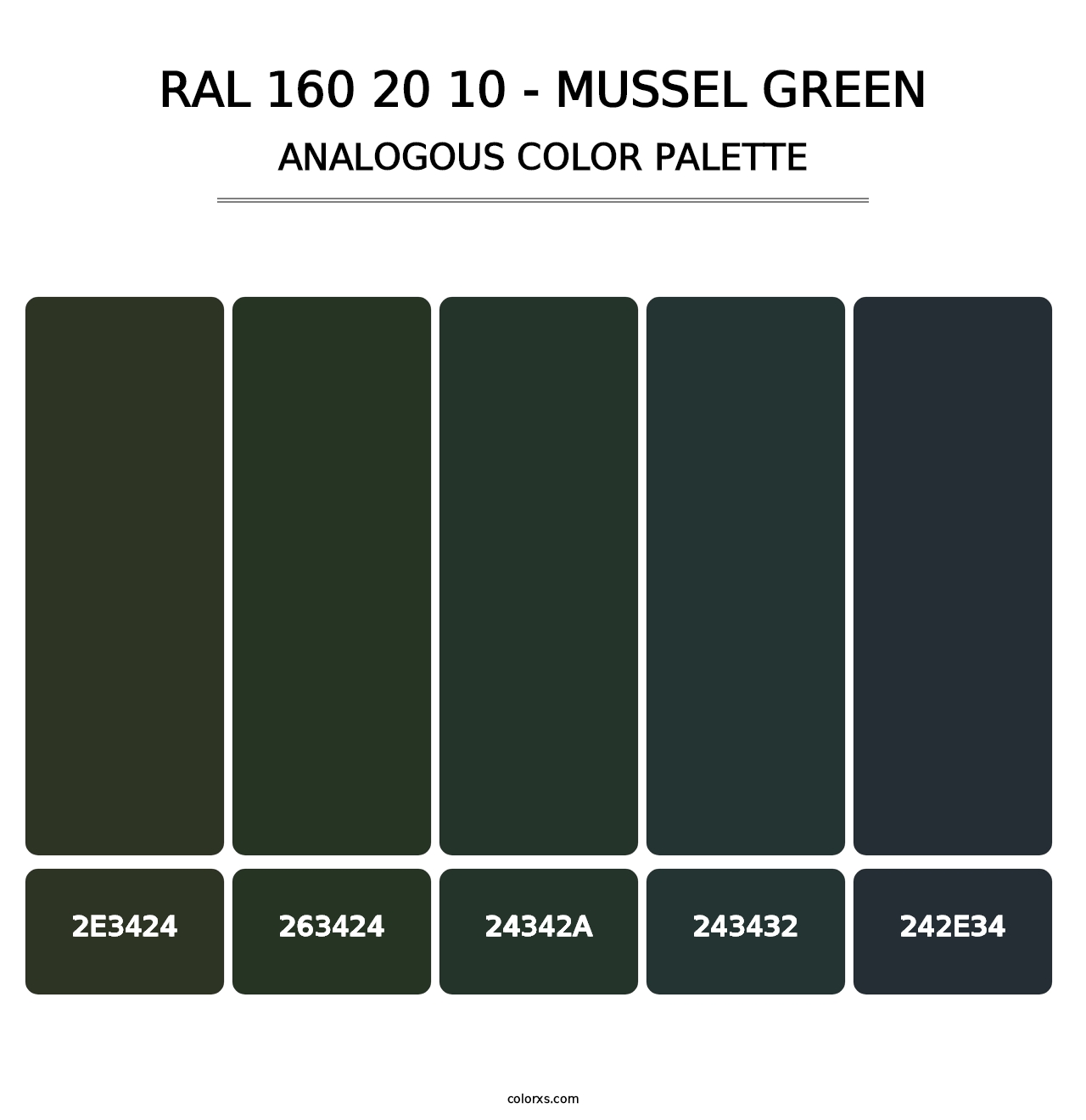 RAL 160 20 10 - Mussel Green - Analogous Color Palette