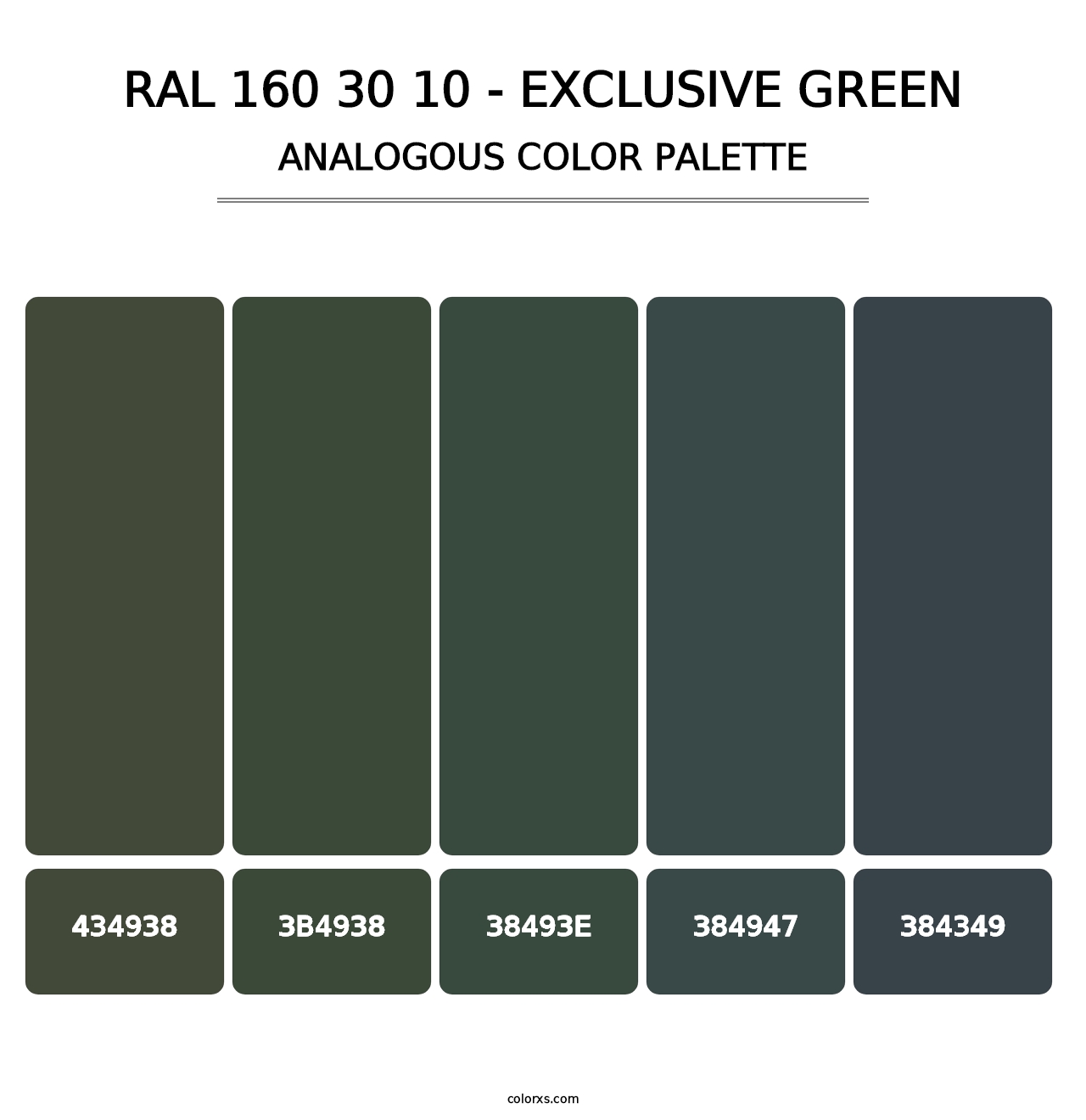 RAL 160 30 10 - Exclusive Green - Analogous Color Palette