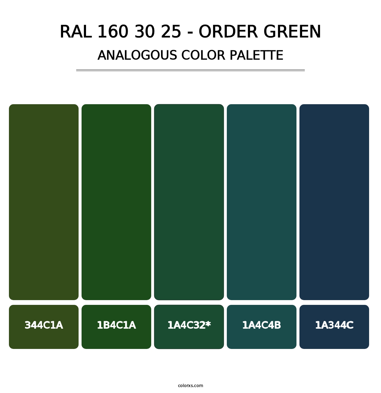 RAL 160 30 25 - Order Green - Analogous Color Palette