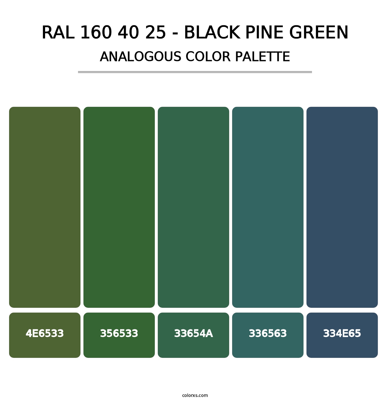 RAL 160 40 25 - Black Pine Green - Analogous Color Palette